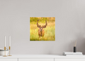 12.6 x 12″, Canvas Deer