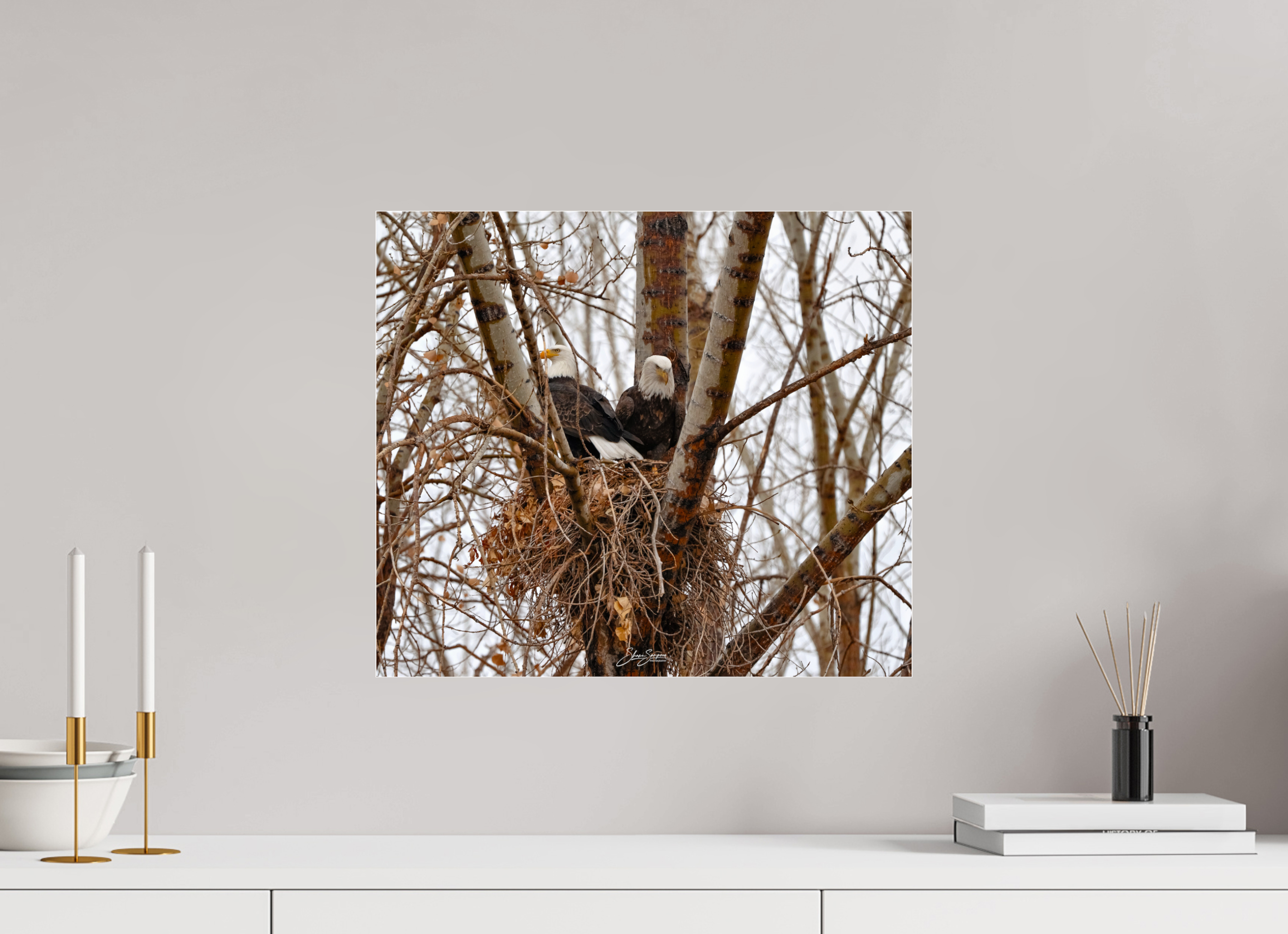 18.4 x 16″, paper Eagles in the nest