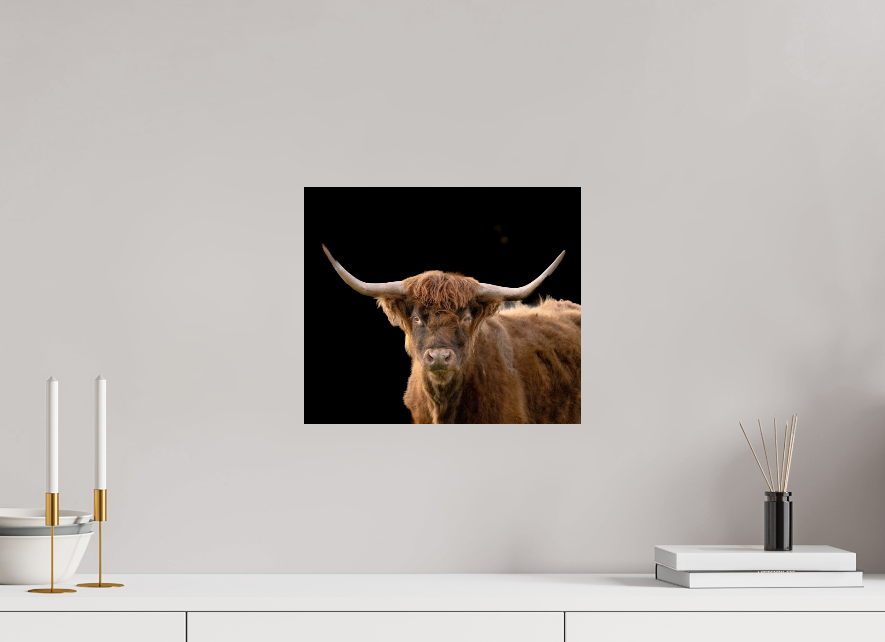 14.1 x 12″, Photo Print On Fuji Crystal DP II The Long Horn