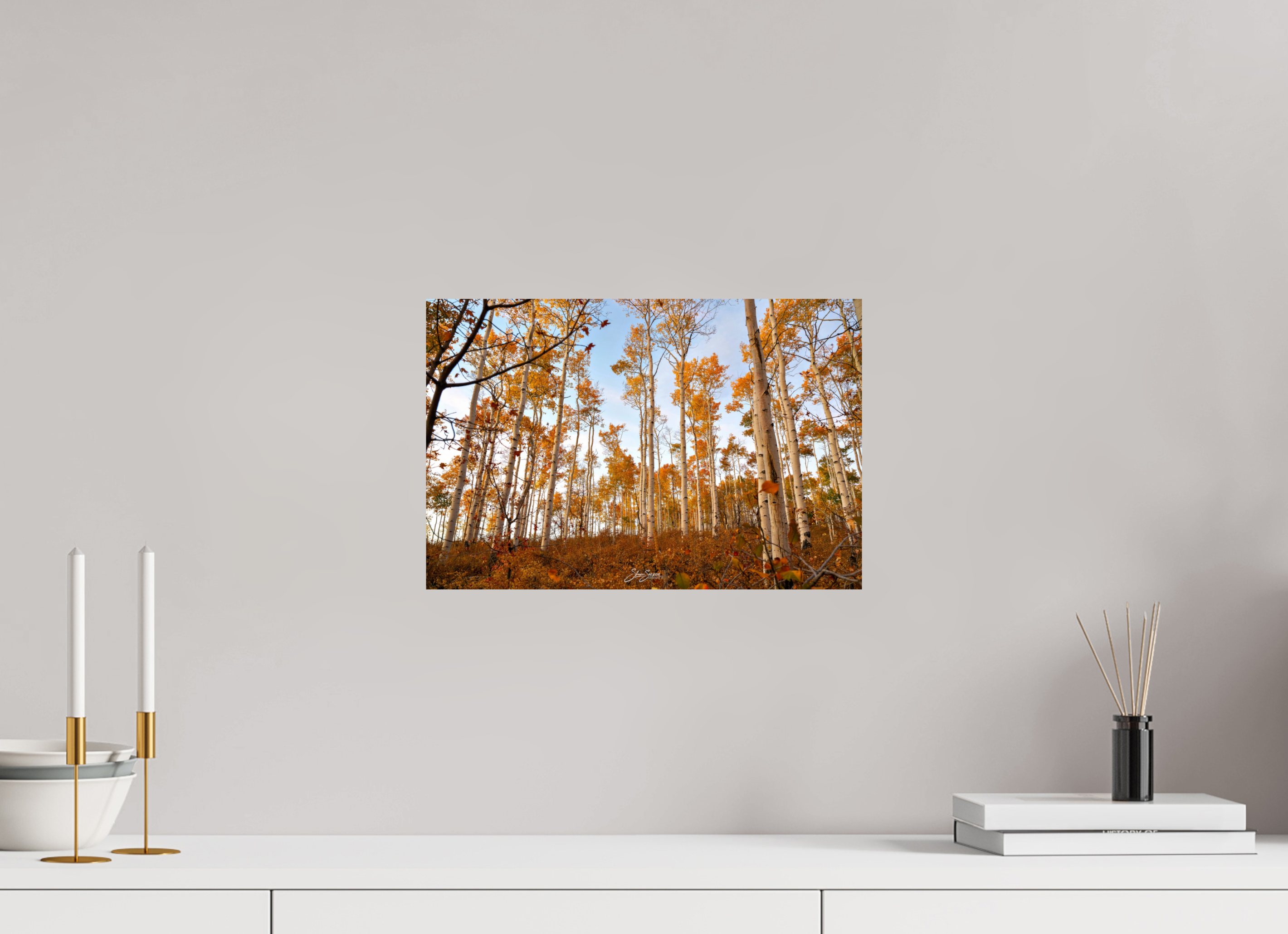 15 x 10″, Metal aspen