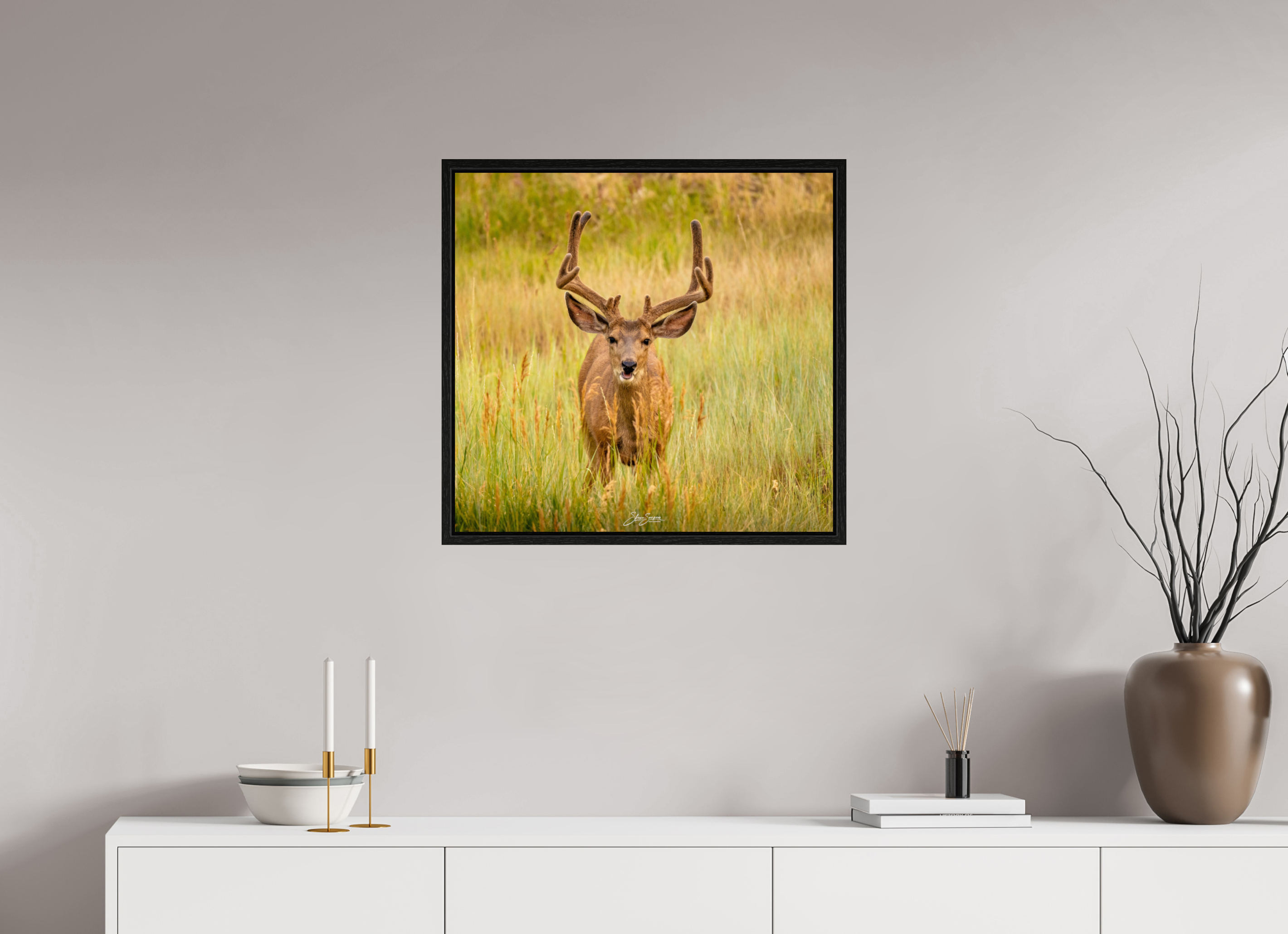 25.3 x 24″, Floater Frame Deer