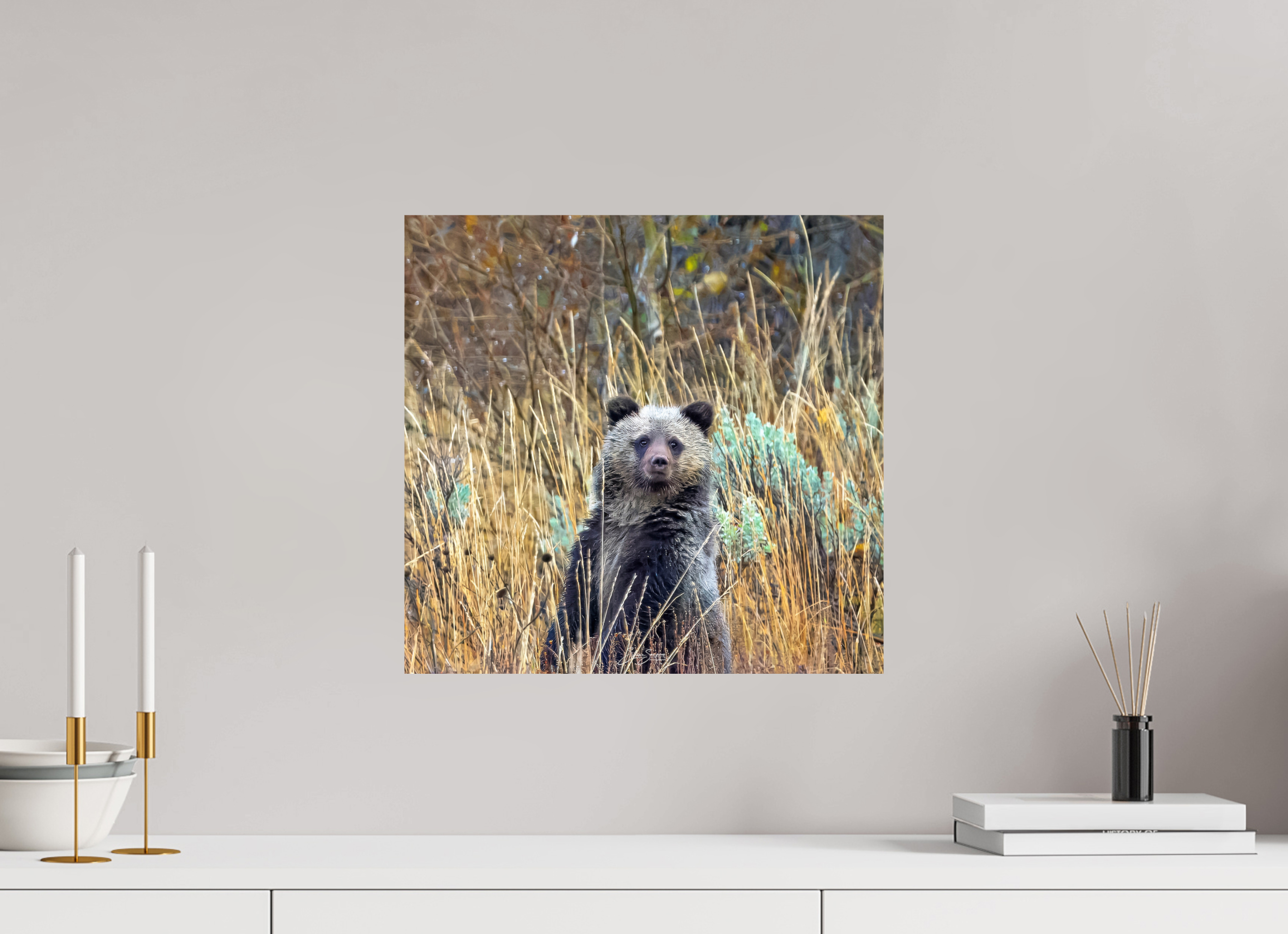 16.7 x 16″, Photo Print On Fuji Crystal DP II Cube looking for mom