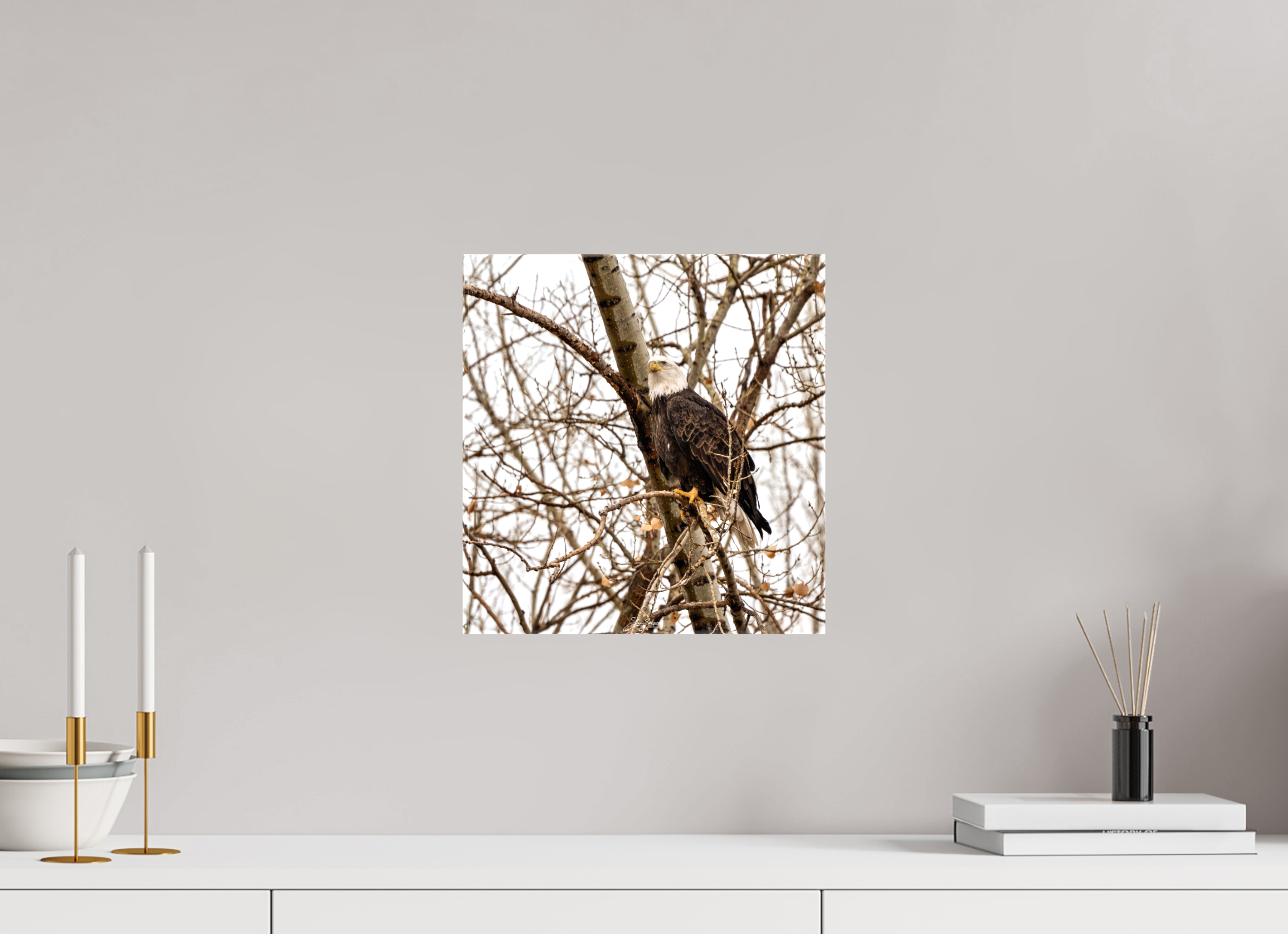 12 x 12.6″, Canvas Eagle