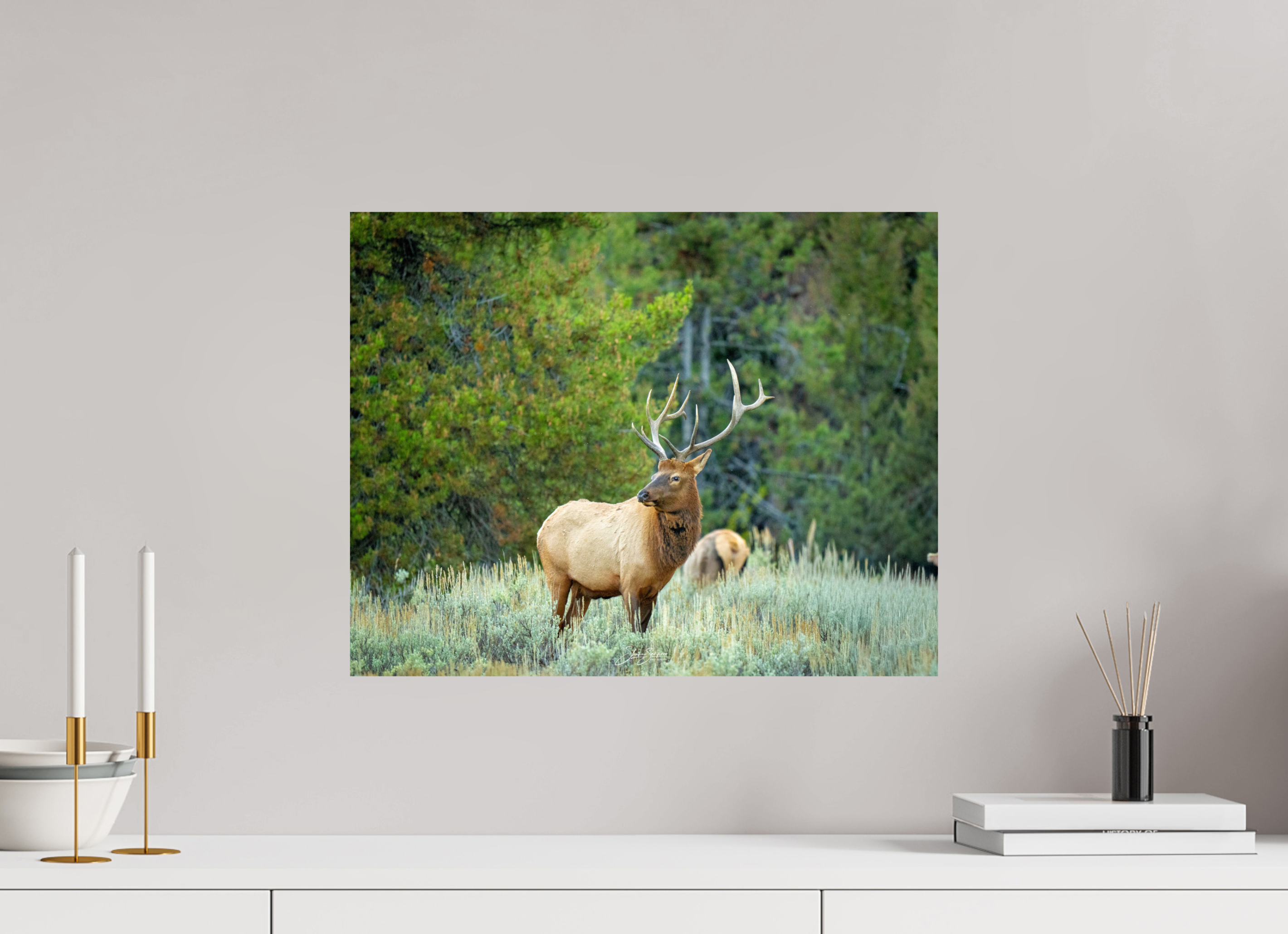 20.2 x 16″, Metal Elk