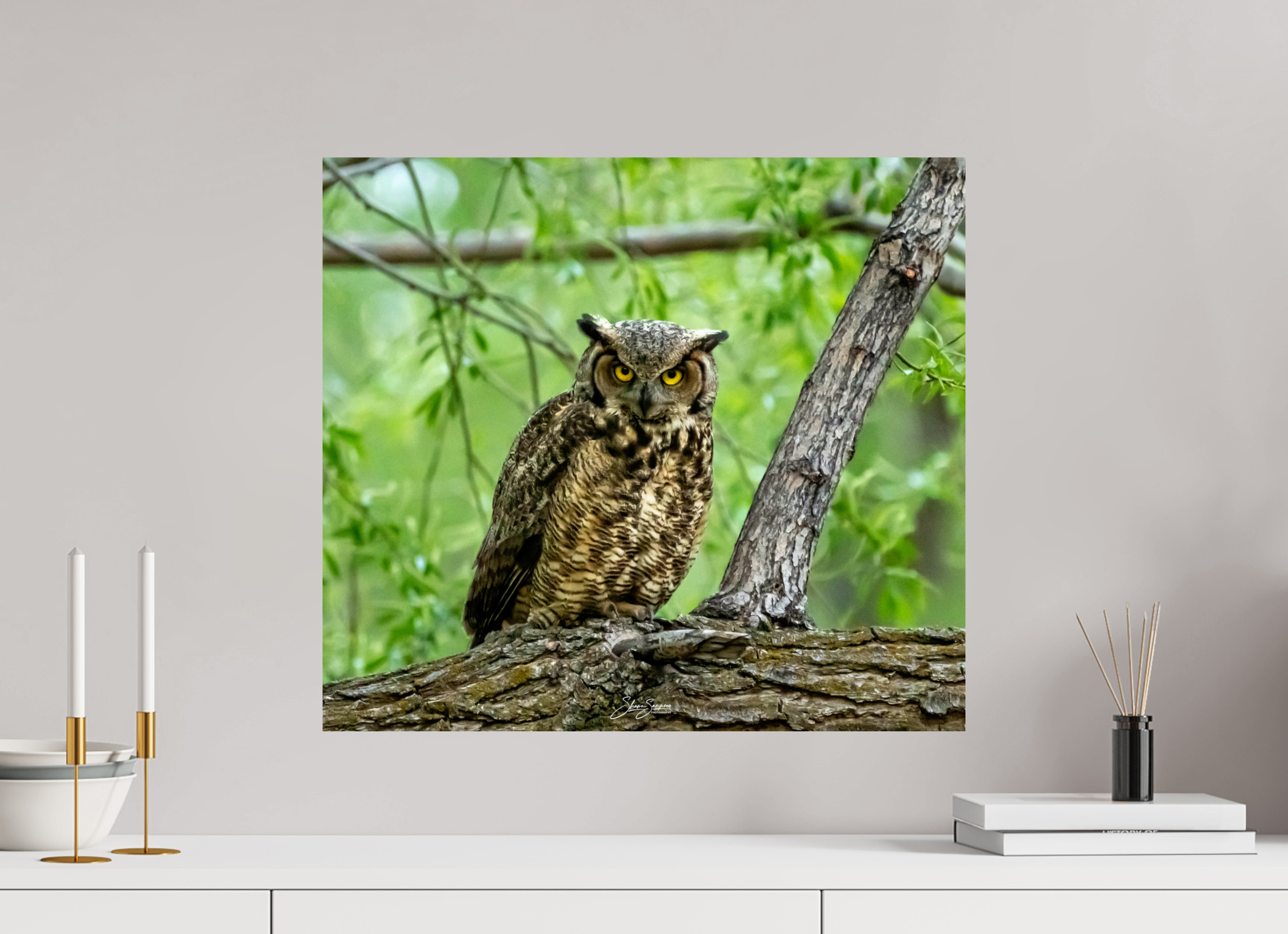 22.4 x 20″, Photo Print On Fuji Crystal DP II Owel