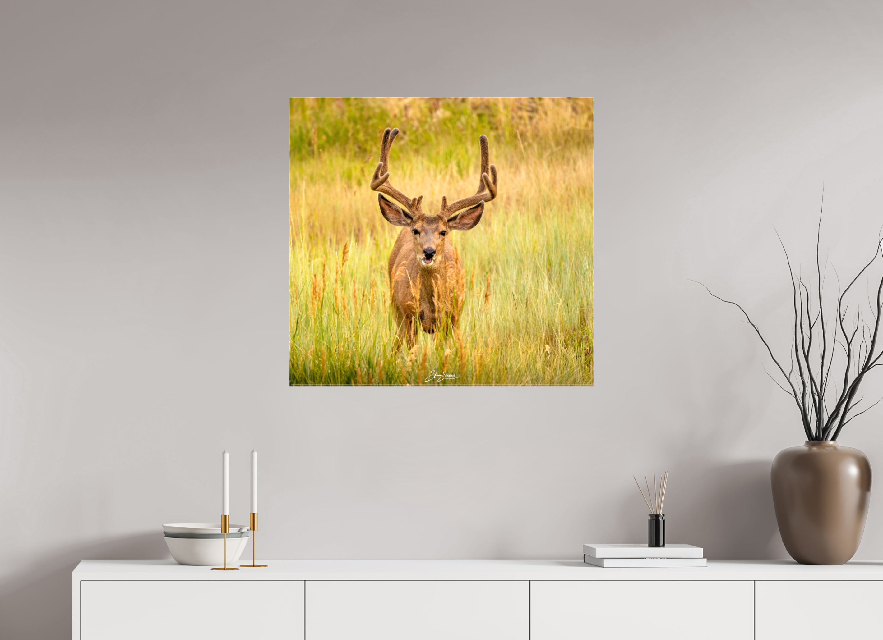 29.5 x 28″, Canvas Deer