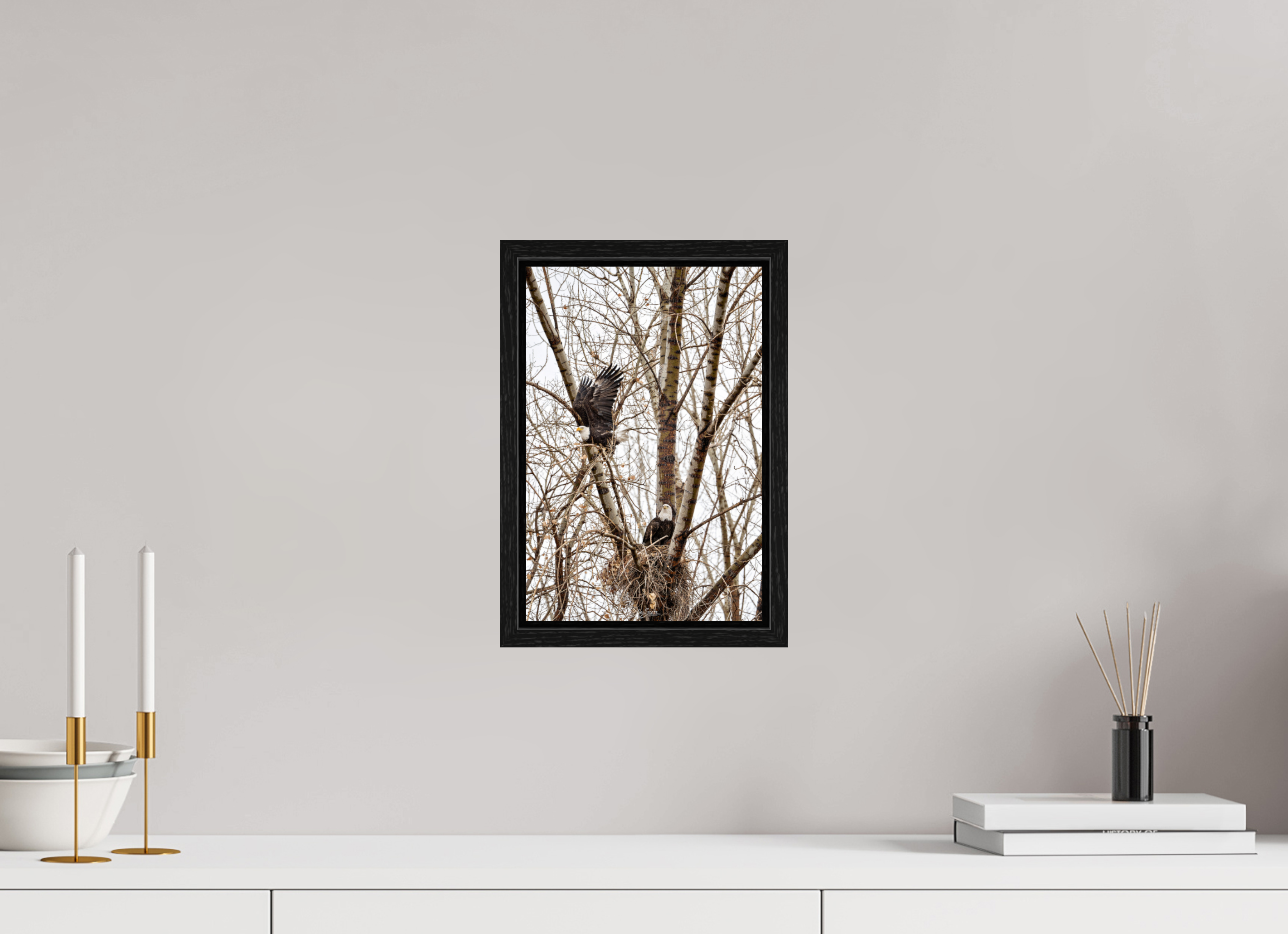 8 x 12″, Floater Frame Eagles