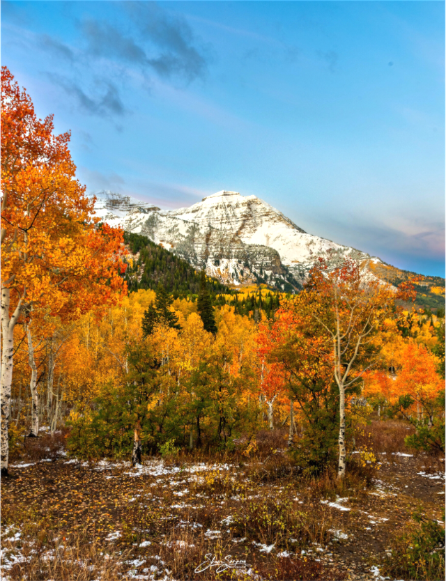 Main image Timp Fall