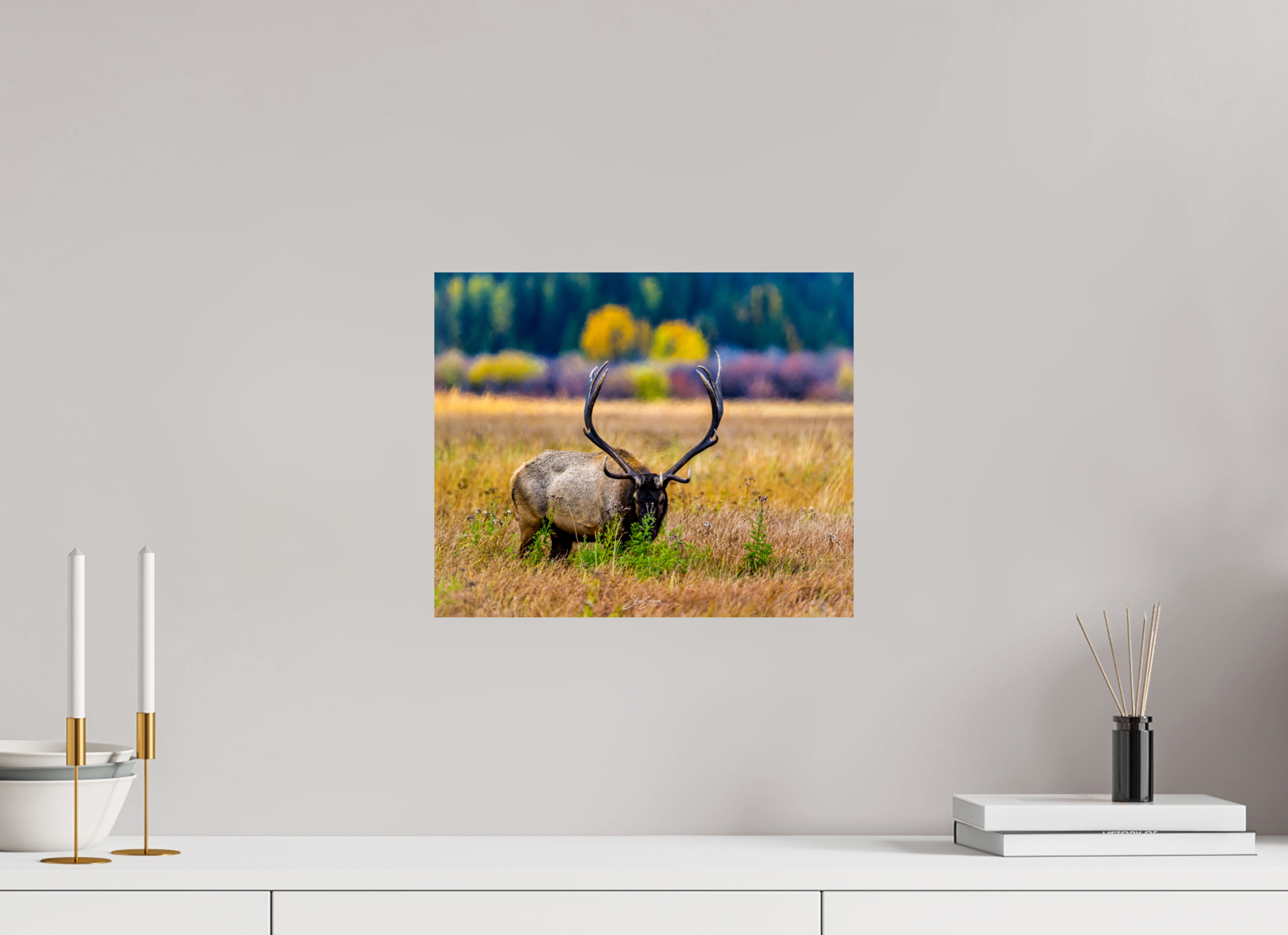 14.6 x 12″, Photo Print On Fuji Crystal DP II Elk