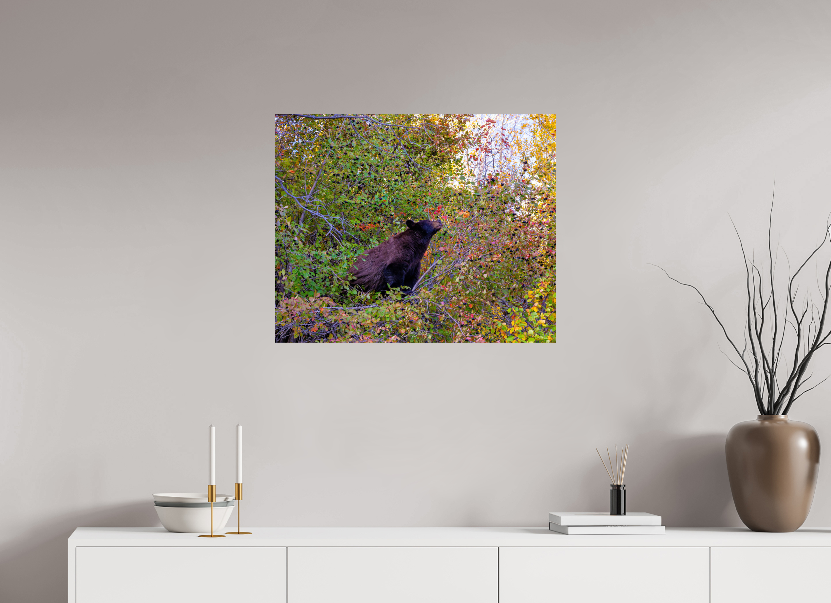 29.5 x 24″, Photo Print On Fuji Crystal DP II B1