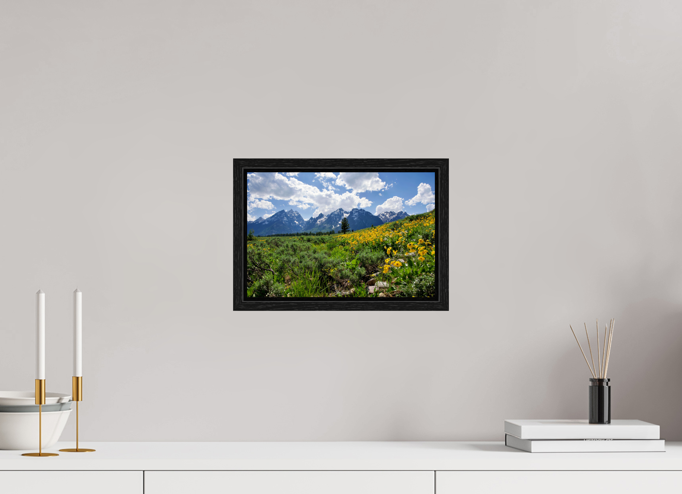 12 x 8″, Floater Frame Tetons in sunflowers