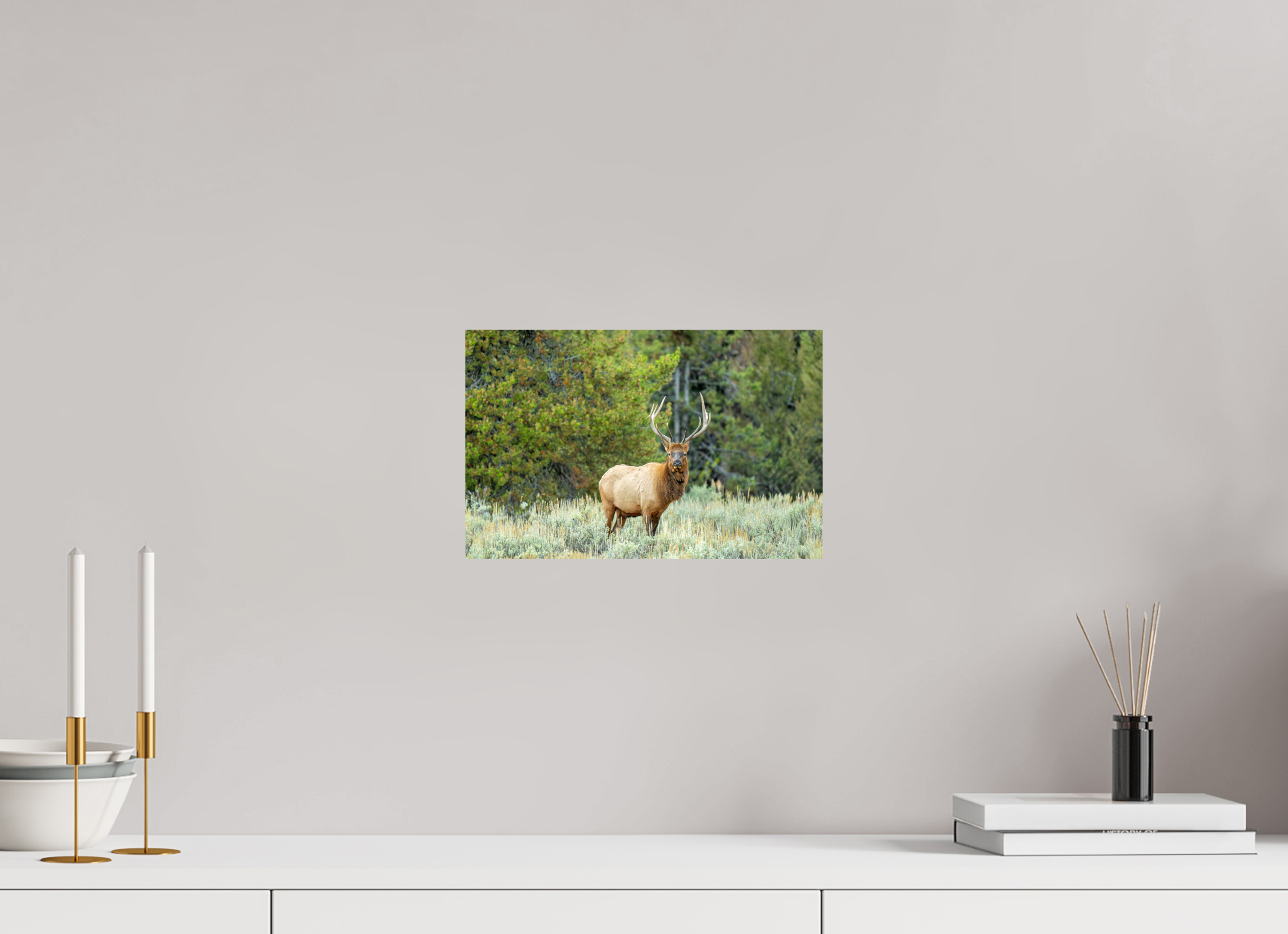 12.4 x 8″, Photo Print On Fuji Crystal DP II Elk