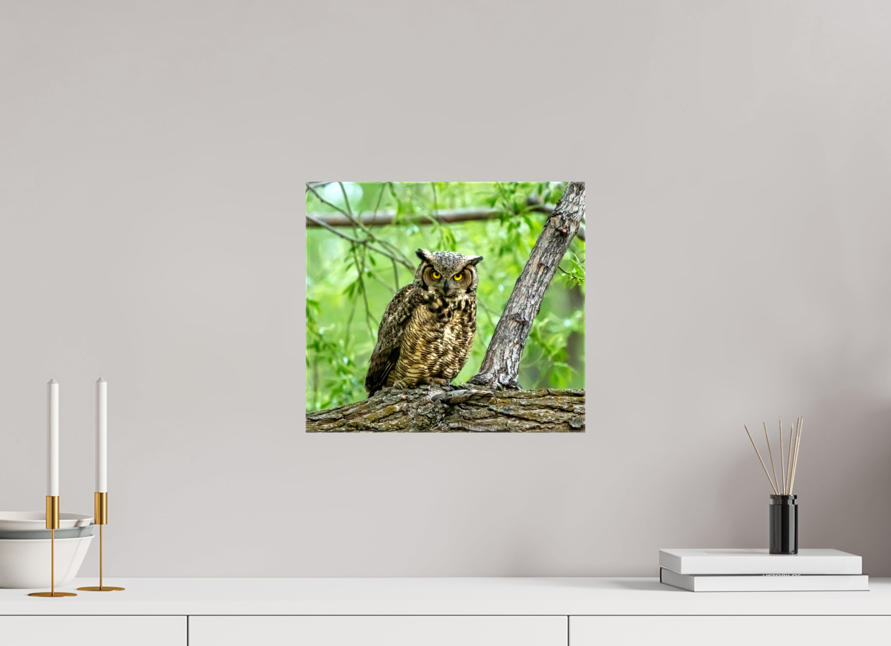 13.4 x 12″, Canvas Owel