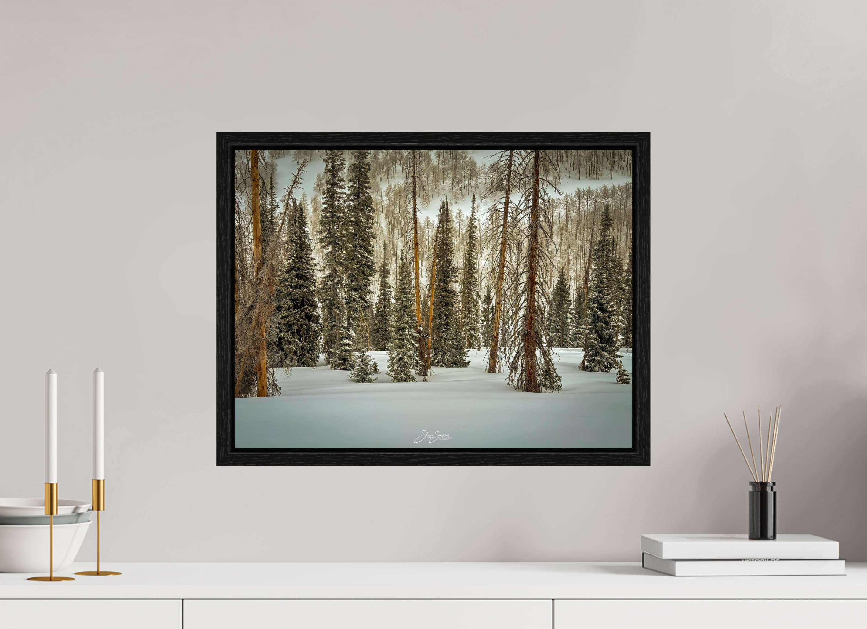 20 x 15″, Floater Frame Winter in the pine