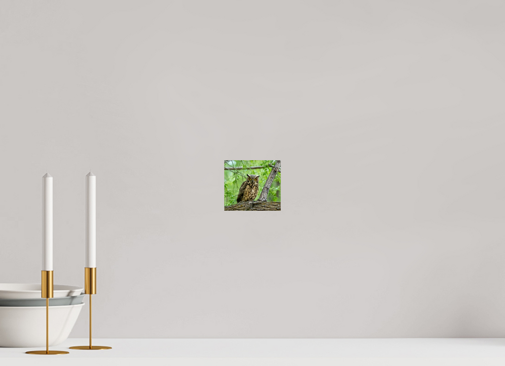 4.5 x 4″, Photo Print On Fuji Crystal DP II Owel