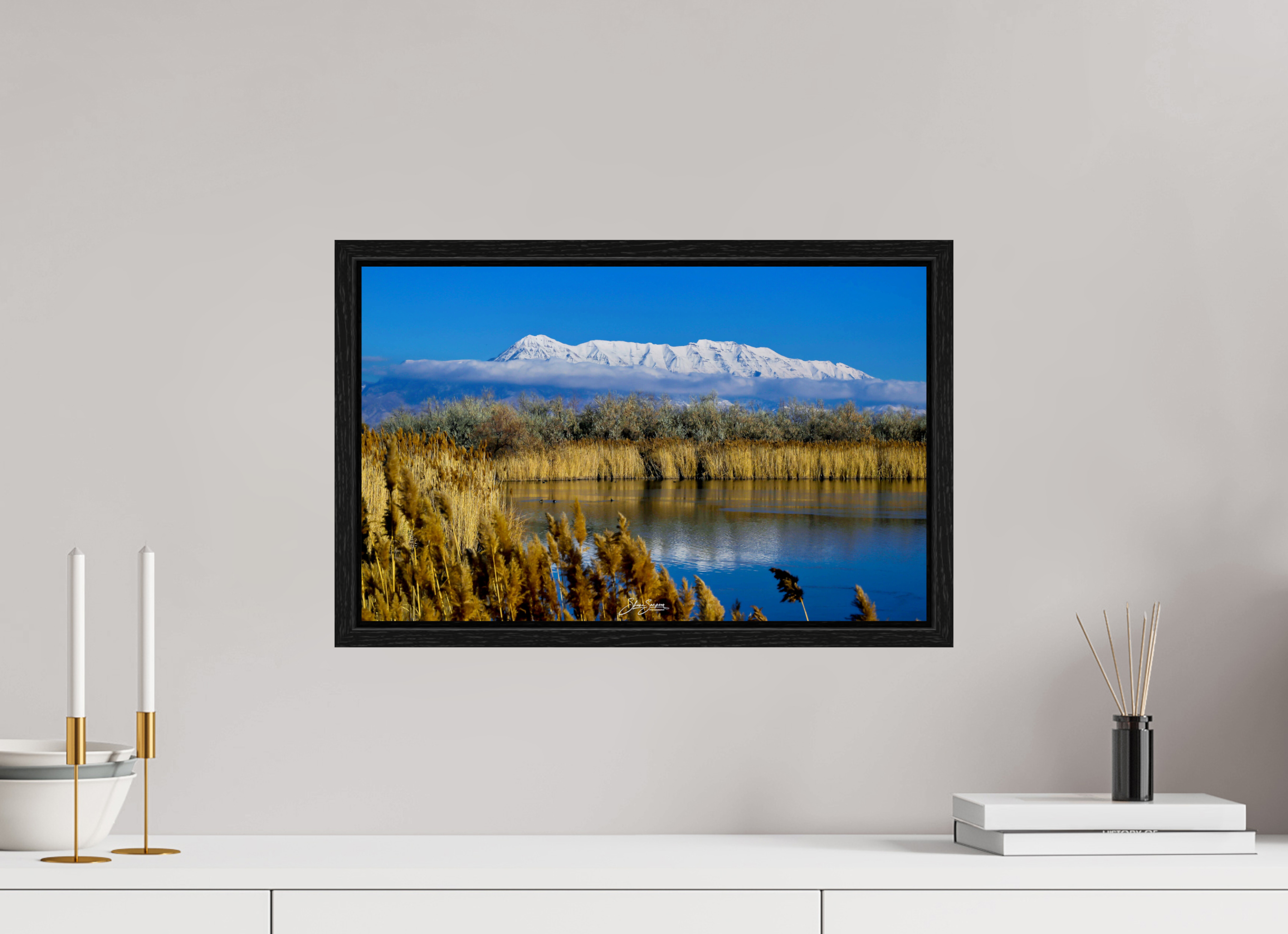 19.1 x 12″, Floater Frame Timp