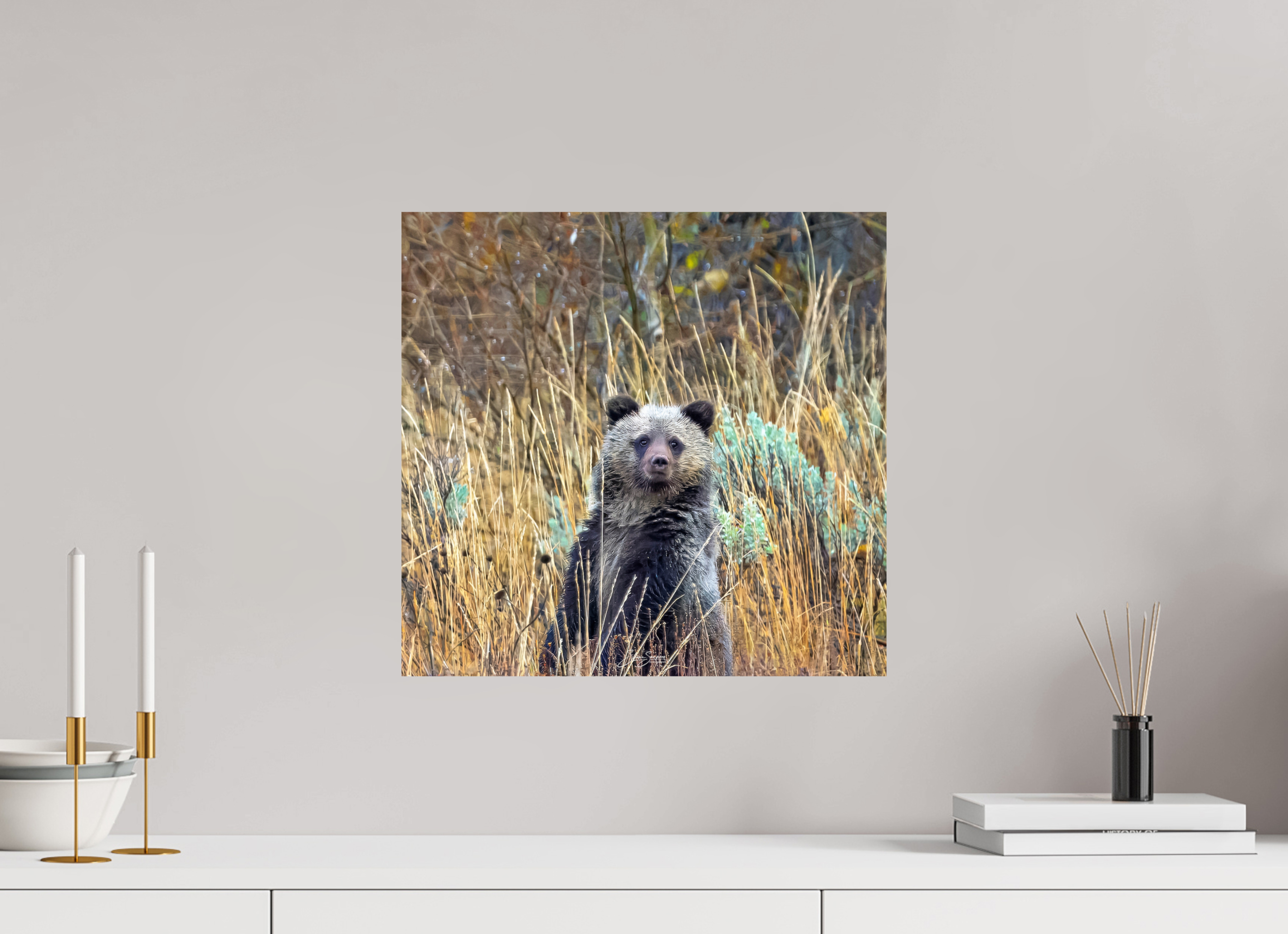 16.7 x 16″, Metal Cube looking for mom