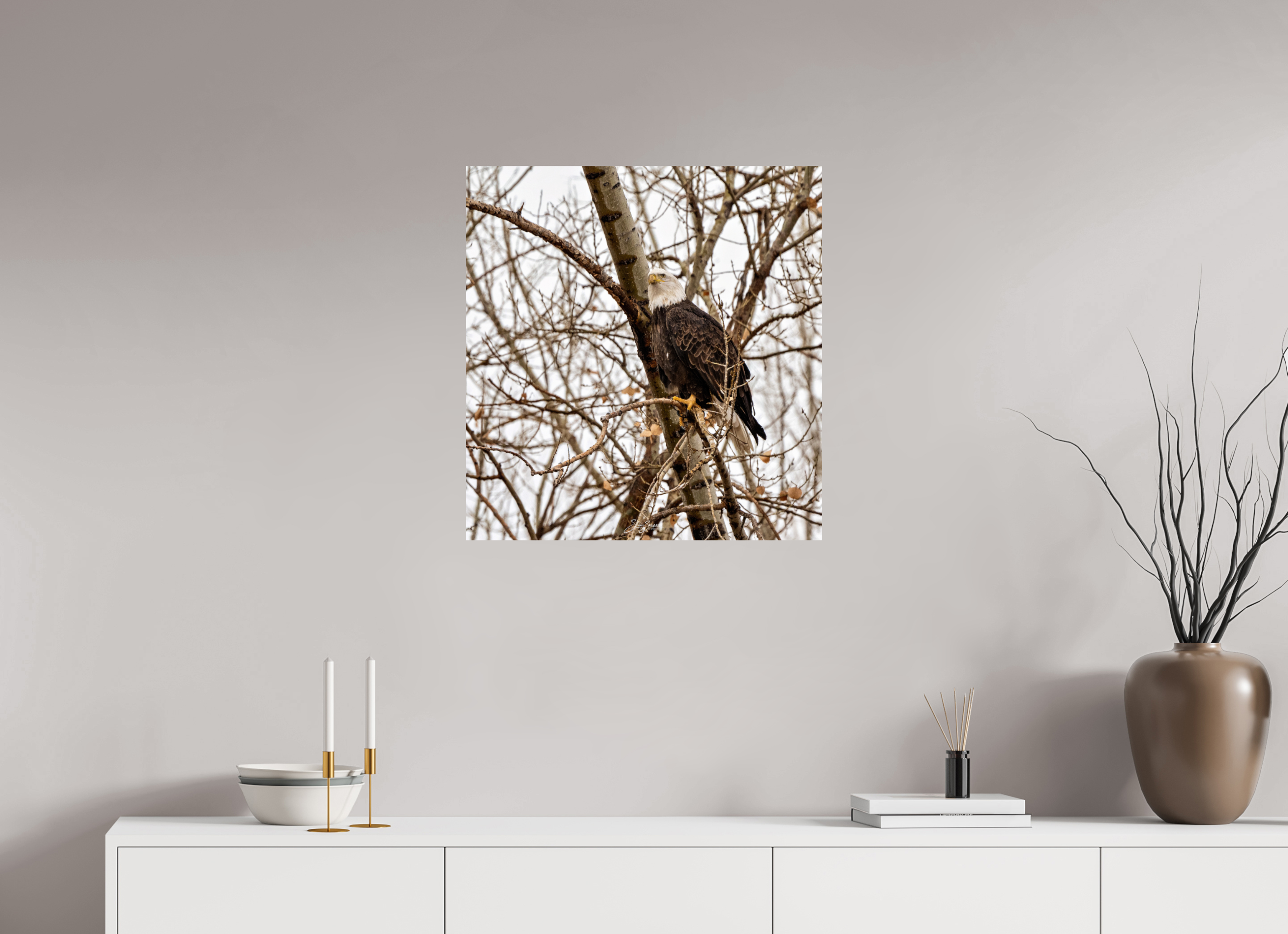 24 x 25.2″, Metal Eagle