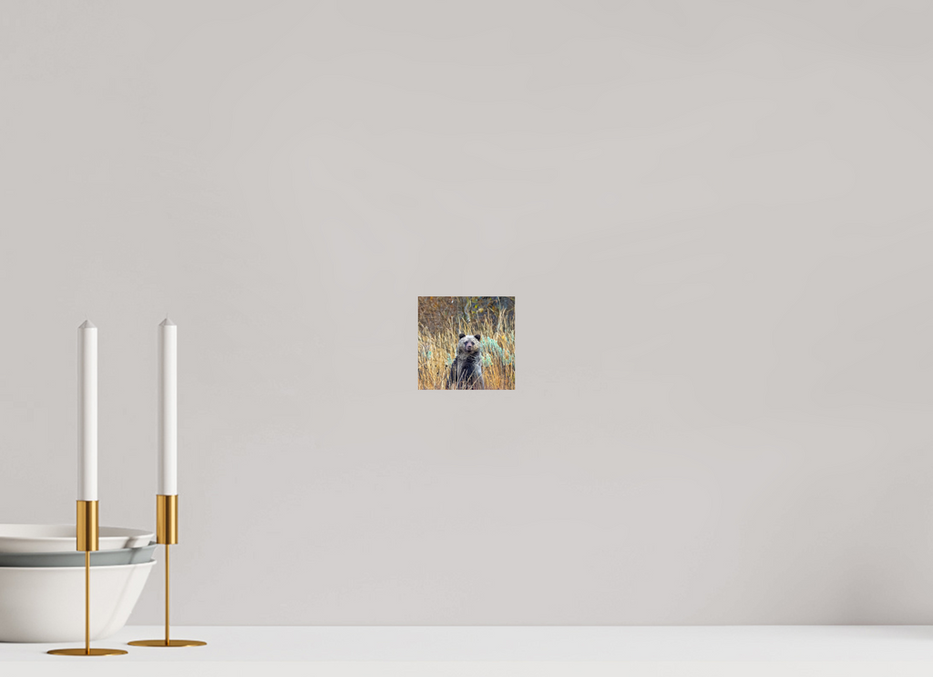 4.2 x 4″, Photo Print On Fuji Crystal DP II Cube looking for mom