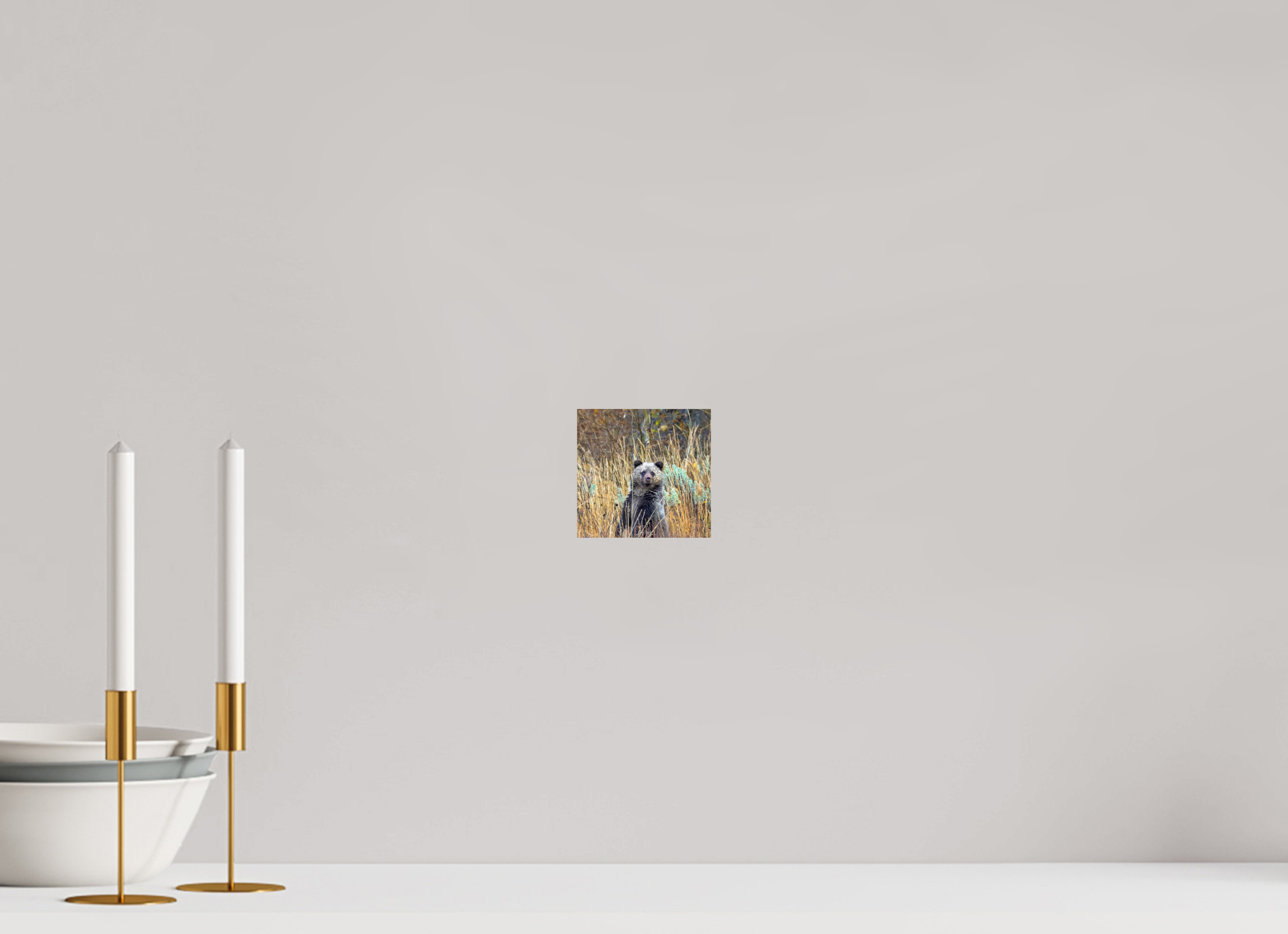 4.2 x 4″, Photo Print On Fuji Crystal DP II Cube looking for mom