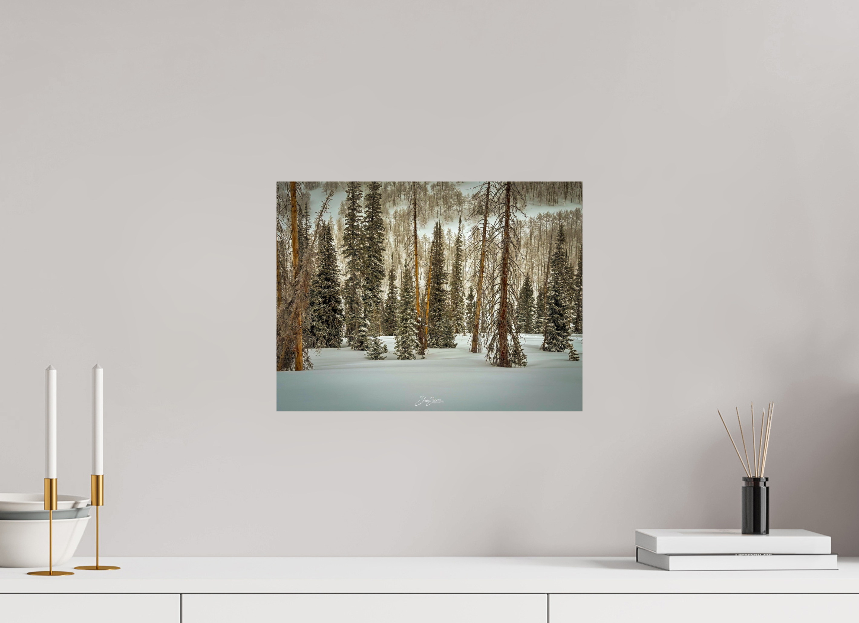 16 x 12″, Photo Print On Fuji Crystal DP II Winter in the pine