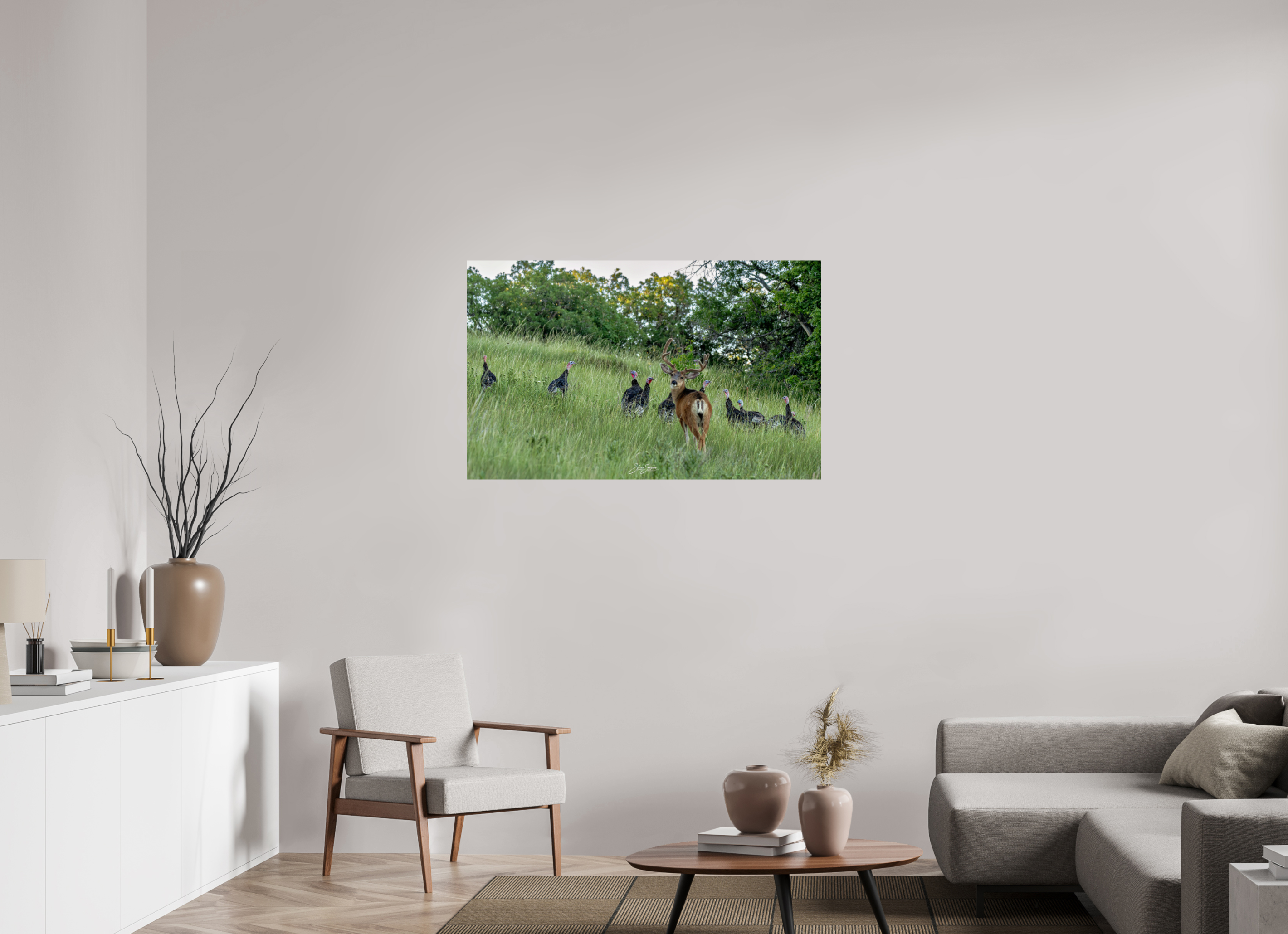 45.3 x 28″, Photo Print On Fuji Crystal DP II Deer Turky 3
