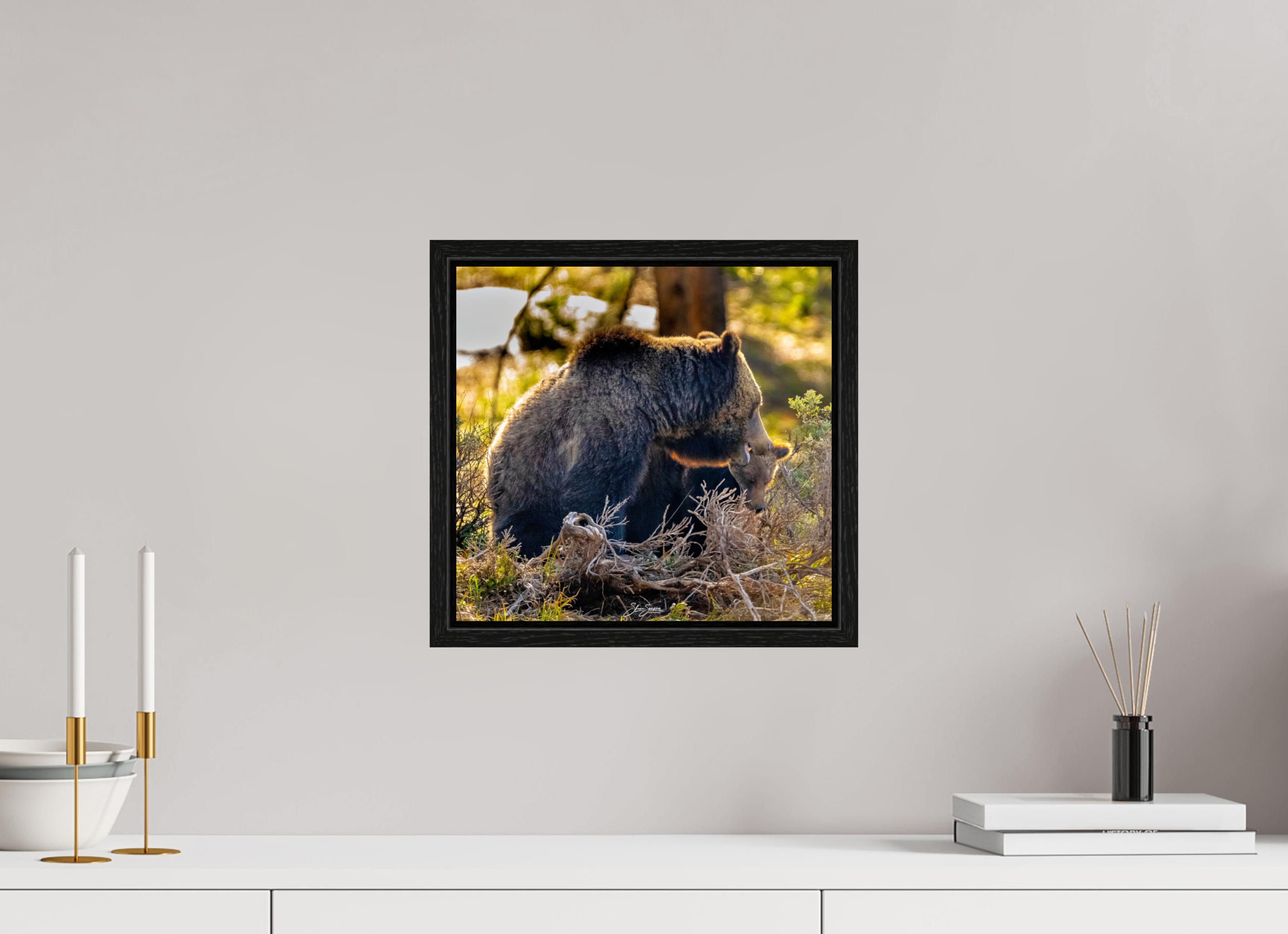 12.7 x 12″, Floater Frame 1063 and cub