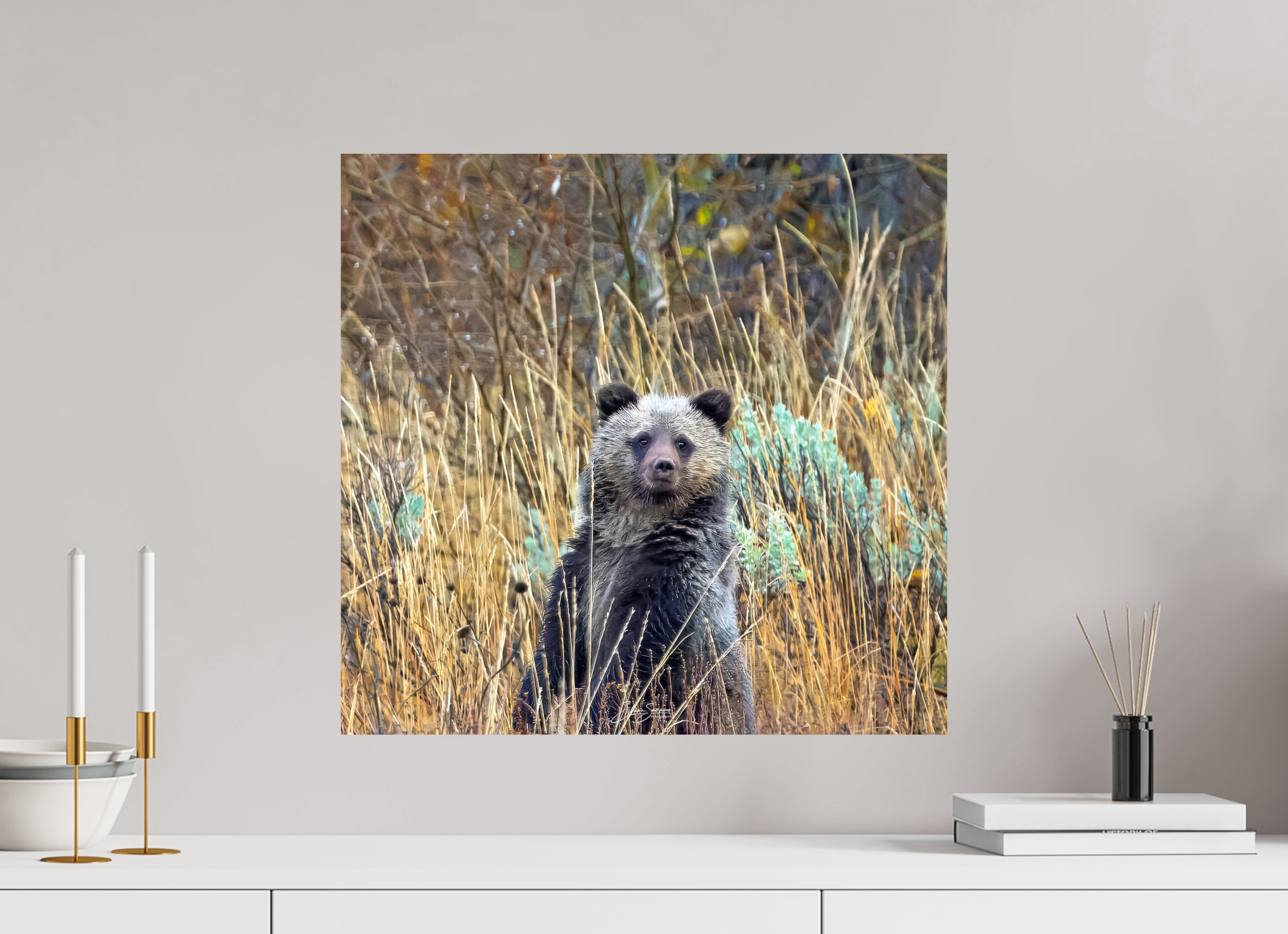 20.9 x 20″, Metal Cube looking for mom