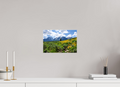 12 x 8″, Canvas Tetons in sunflowers