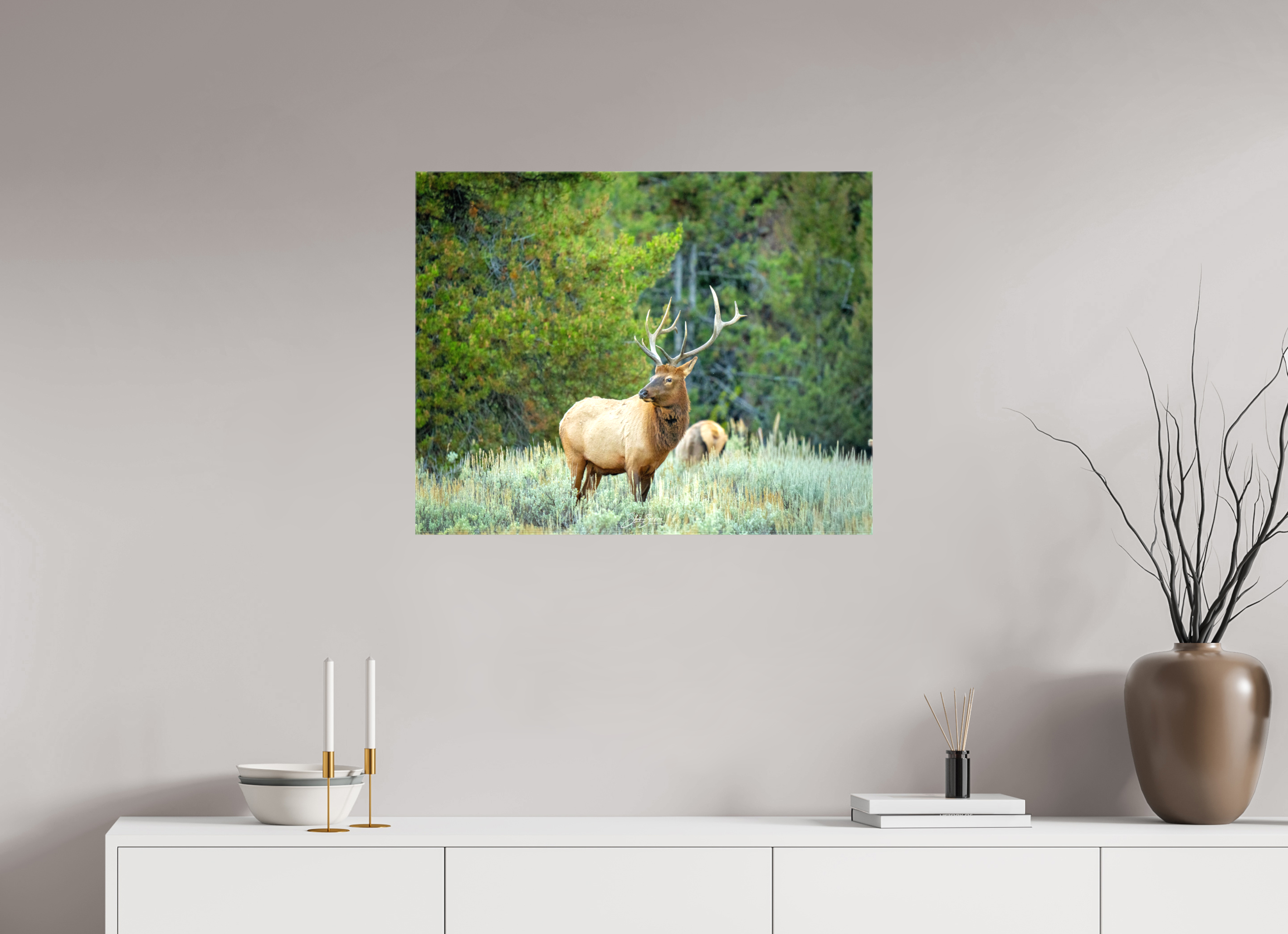 30.4 x 24″, Canvas Elk