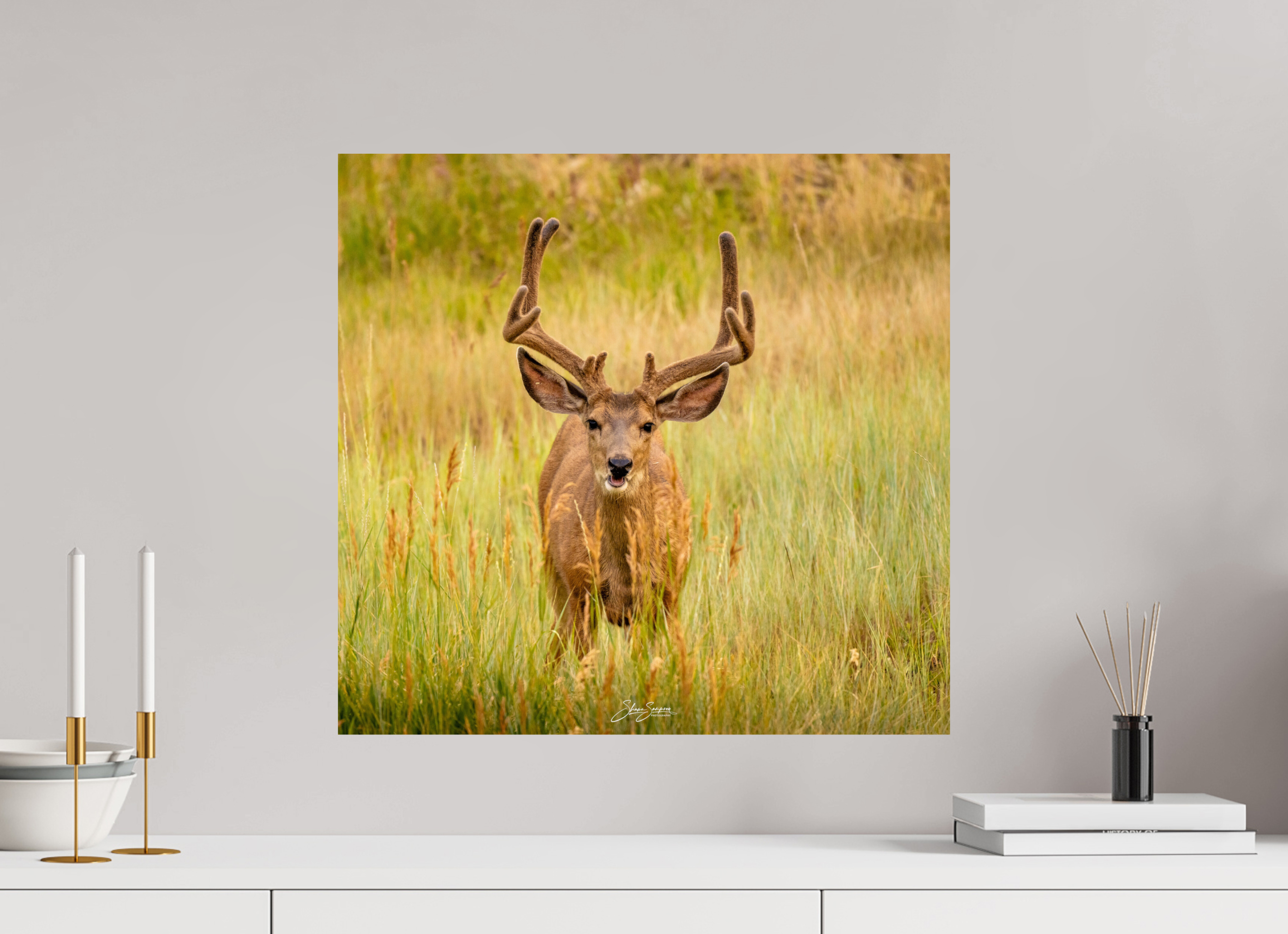 21.1 x 20″, Metal Deer