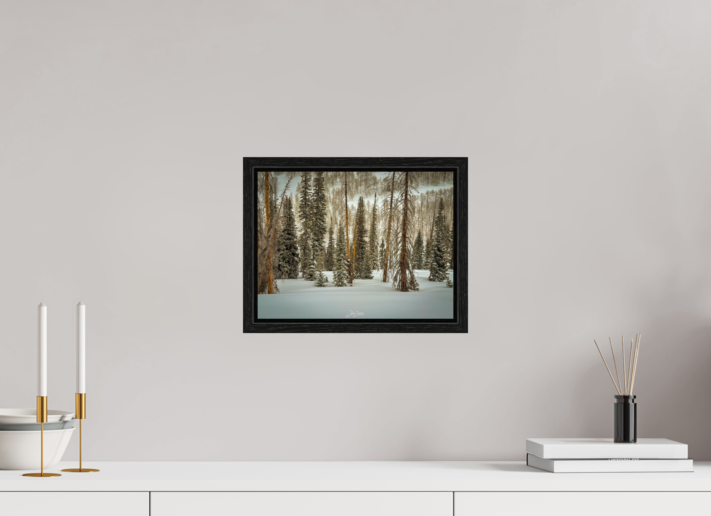 12 x 9″, Floater Frame Winter in the pine