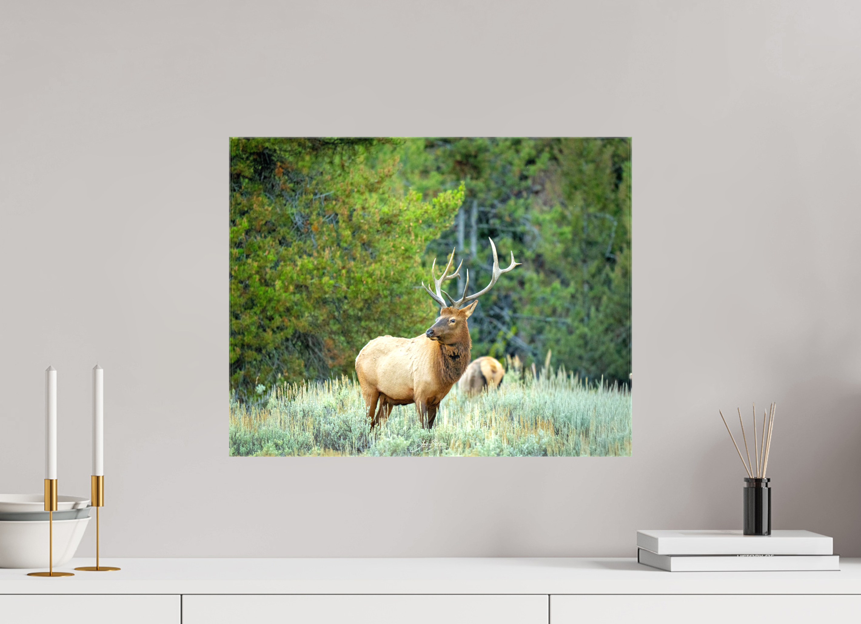 20.2 x 16″, Canvas Elk