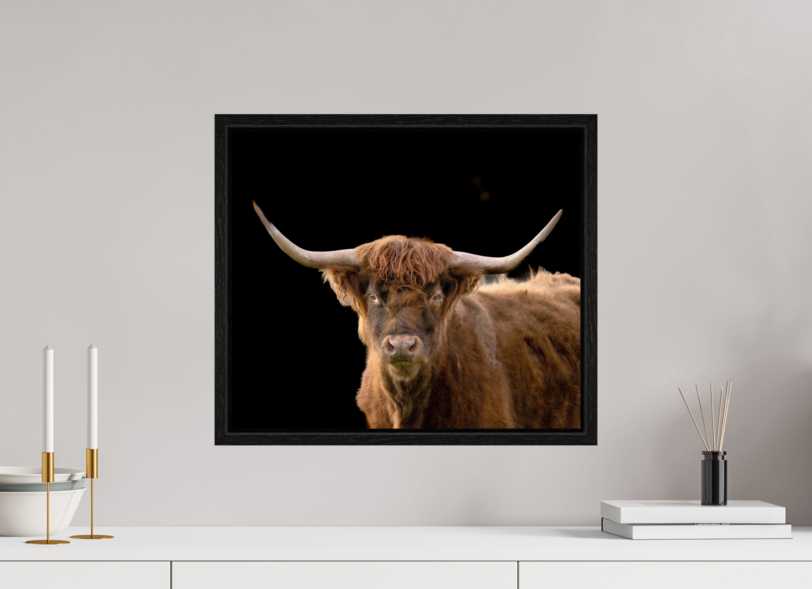 18.7 x 16″, Floater Frame The Long Horn