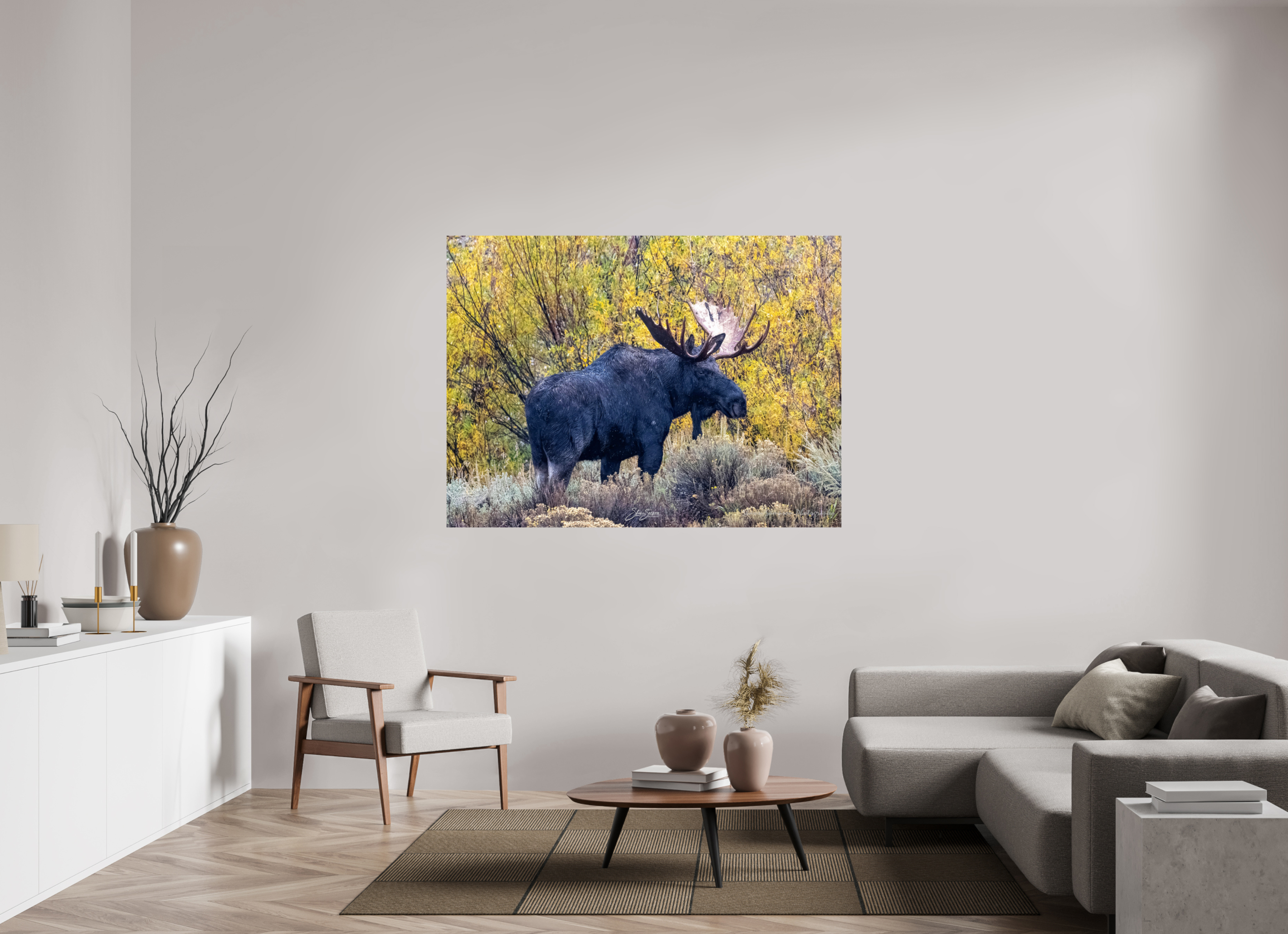 63.6 x 47″, Photo Print On Fuji Crystal DP II Moose