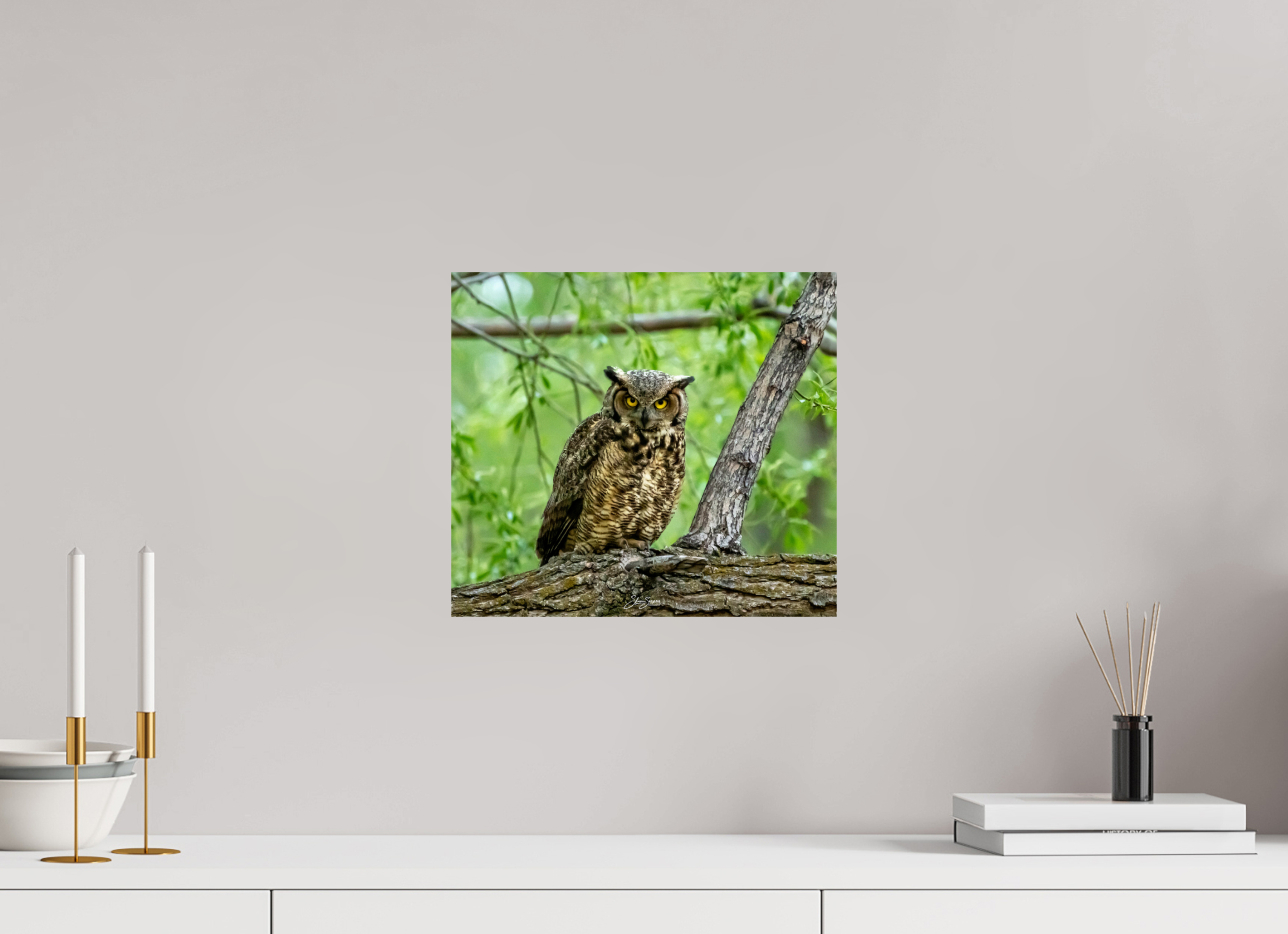 13.4 x 12″, Photo Print On Fuji Crystal DP II Owel