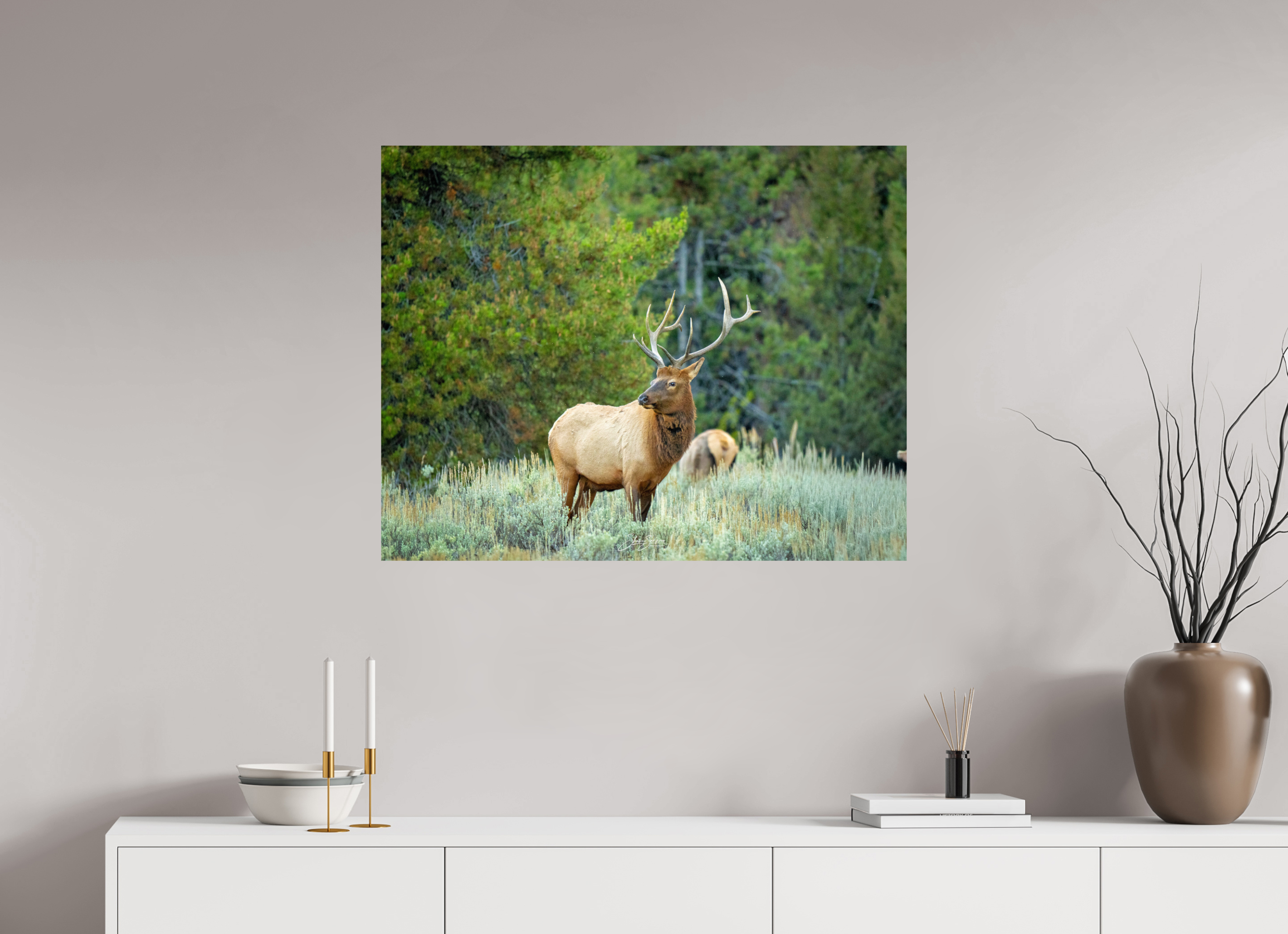 35.4 x 28″, Metal Elk