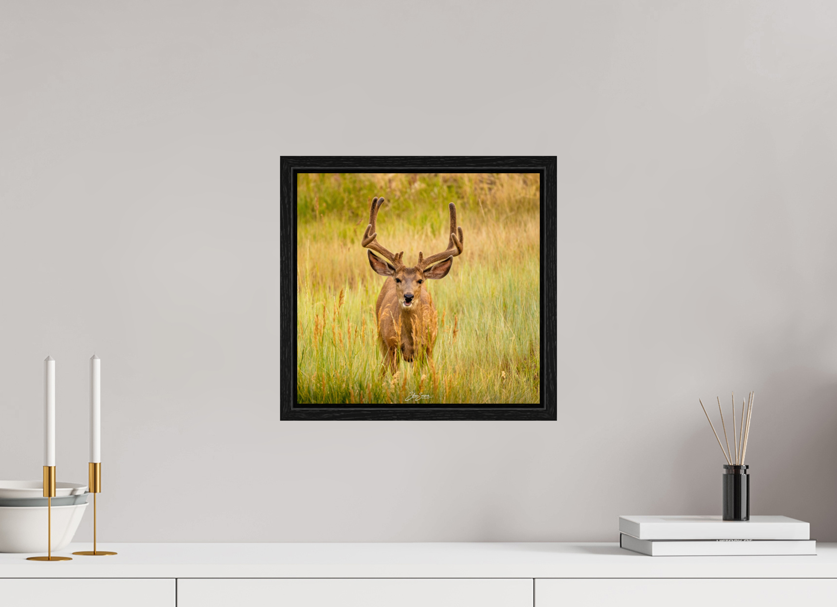 12.6 x 12″, Floater Frame Deer