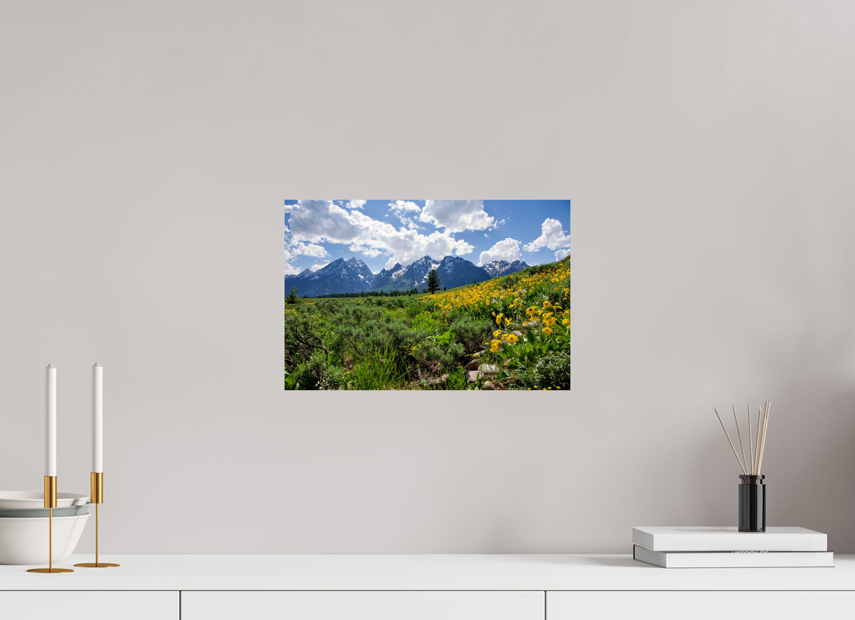 15 x 10″, Photo Print On Fuji Crystal DP II Tetons in sunflowers