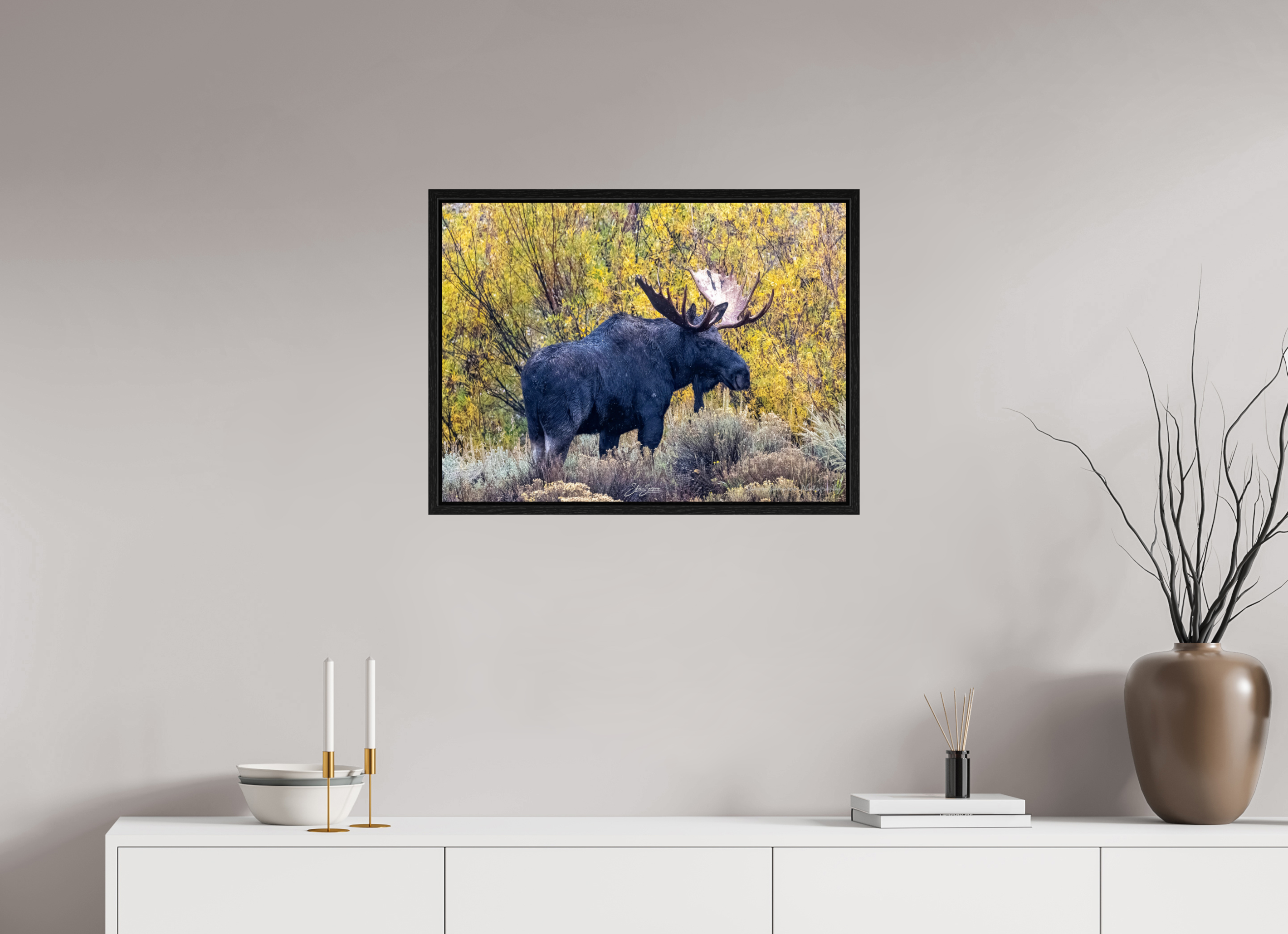 27 x 20″, Floater Frame Moose