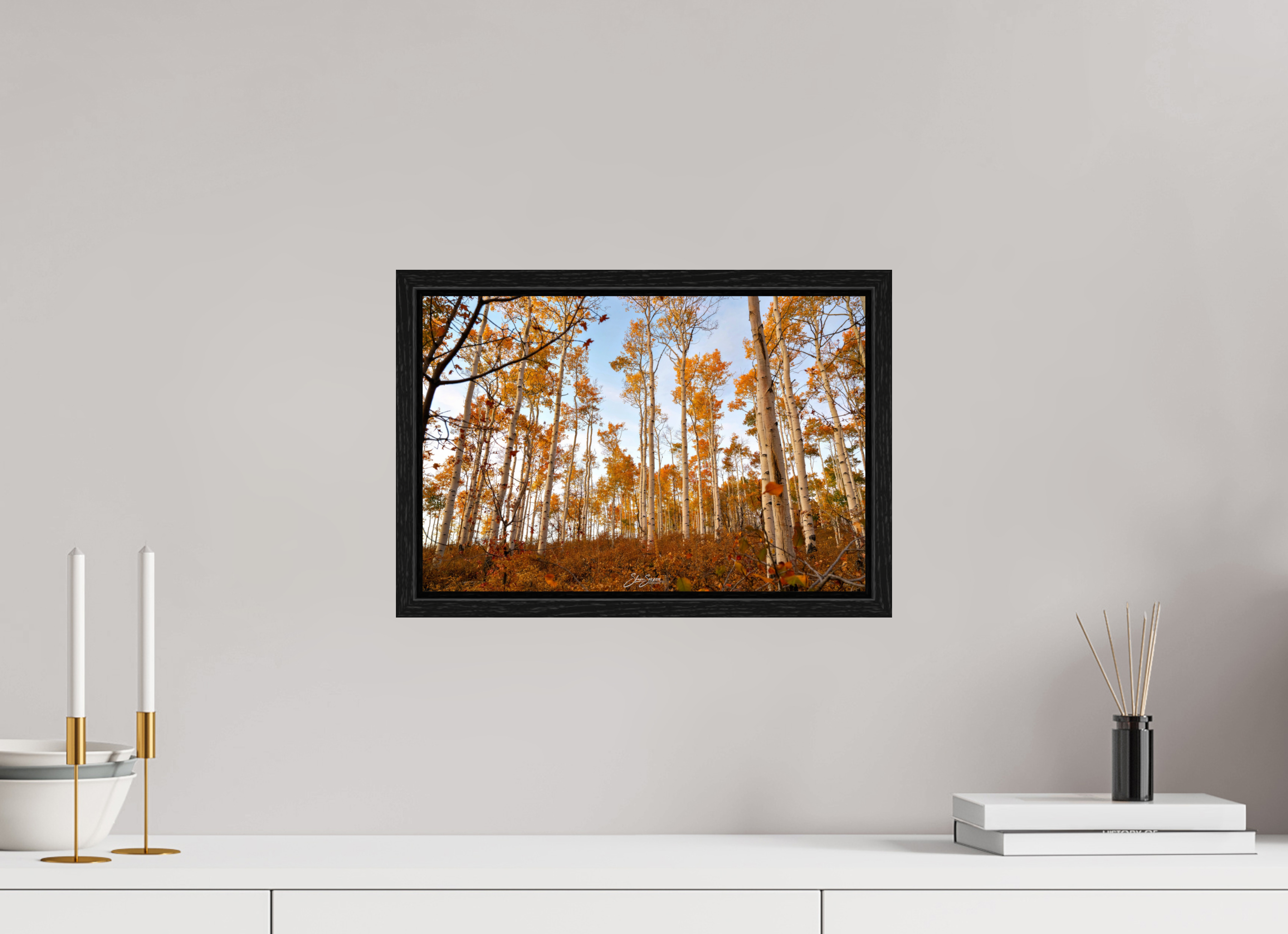 15 x 10″, Floater Frame aspen