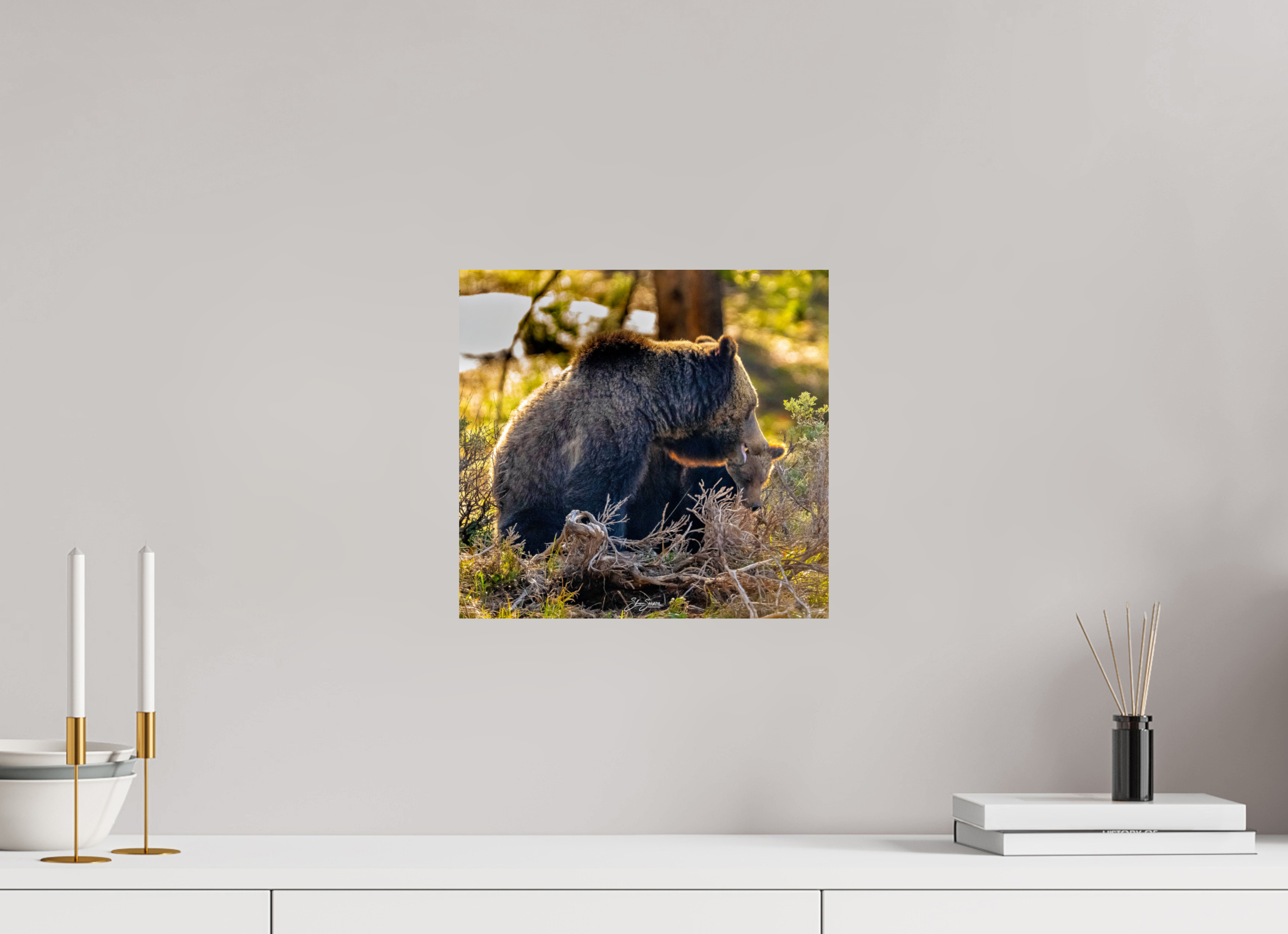 12.7 x 12″, Metal 1063 and cub