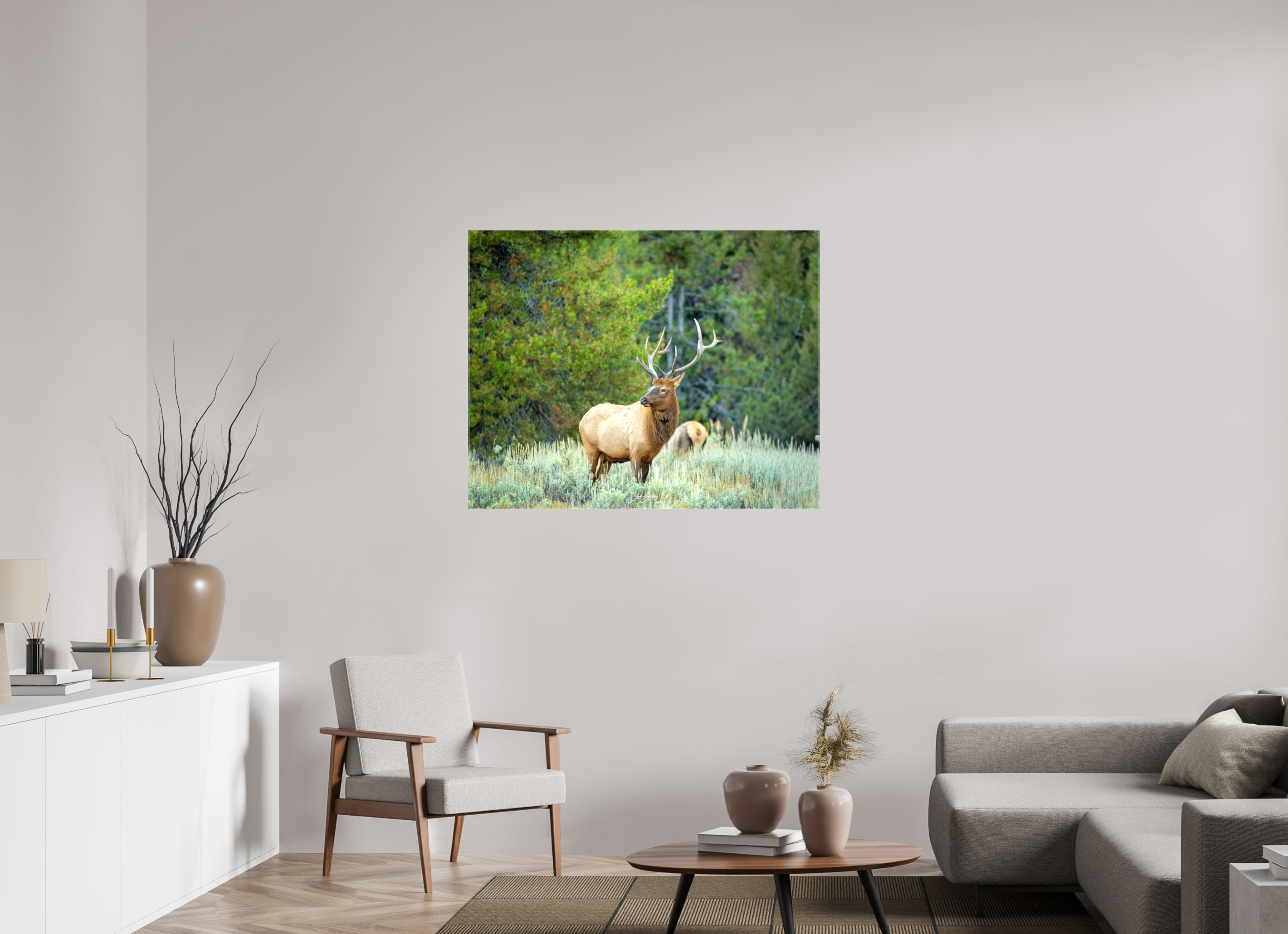 44.3 x 35″, Canvas Elk