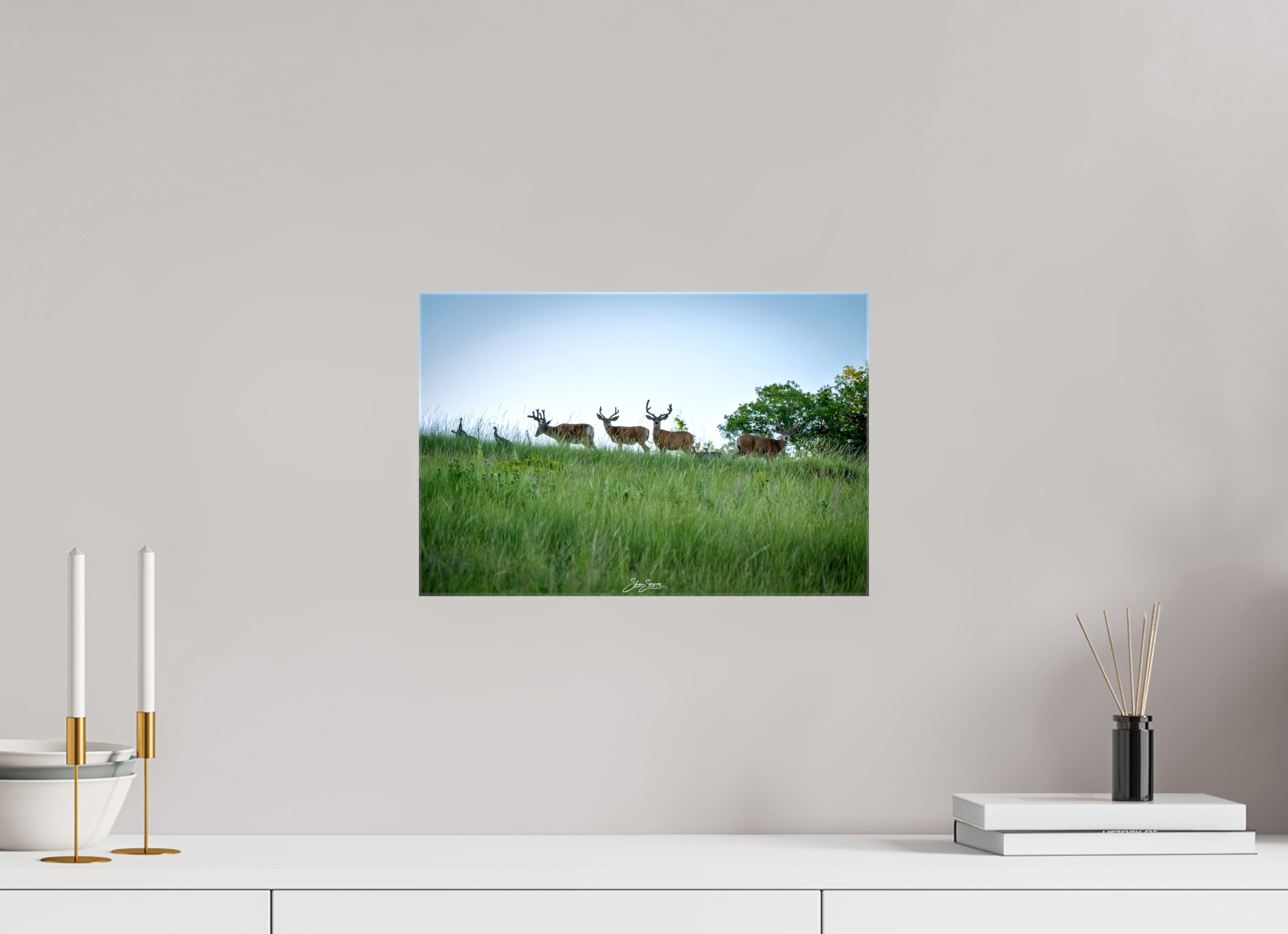 15 x 10″, Canvas Deer