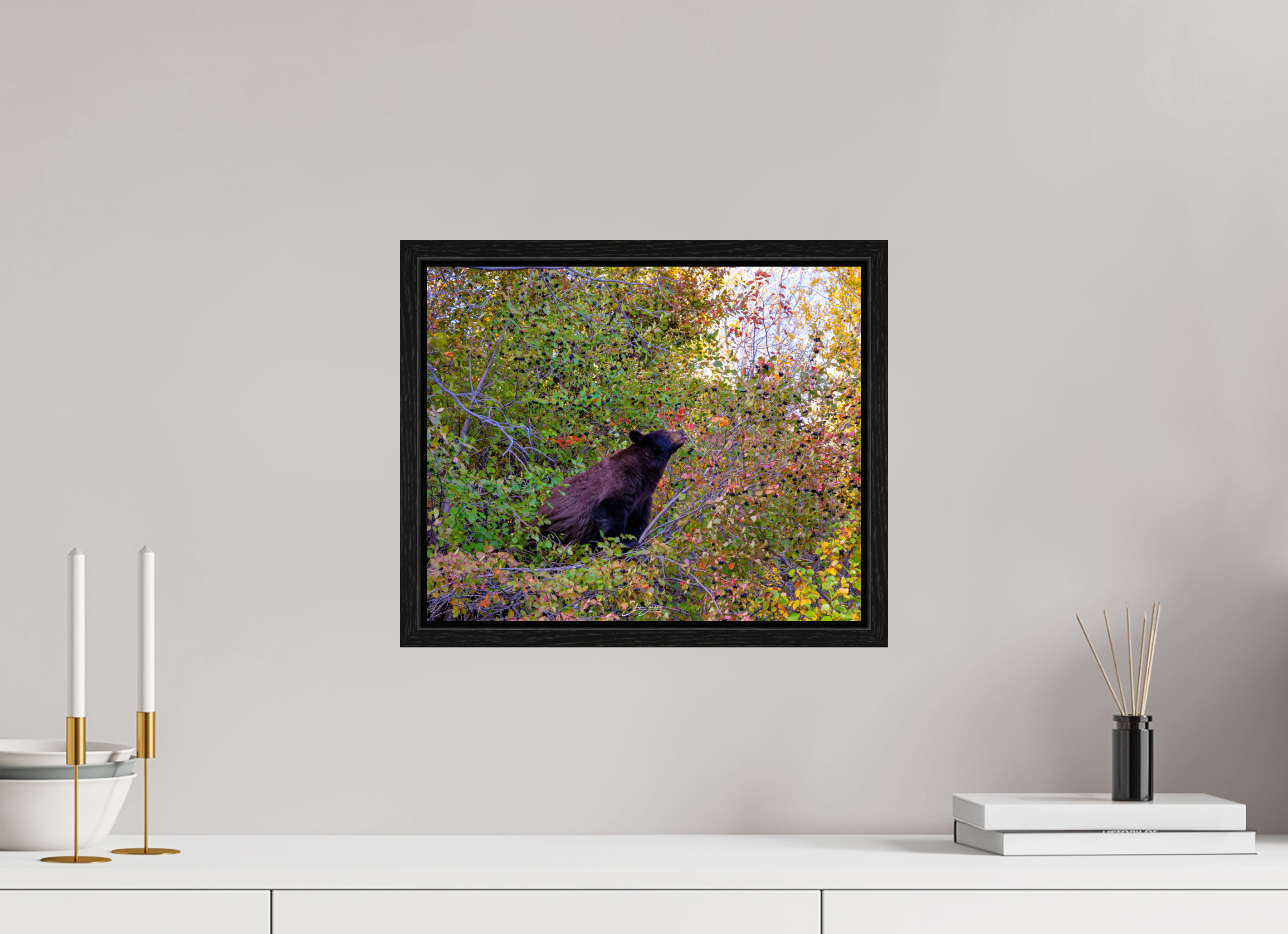 14.7 x 12″, Floater Frame B1