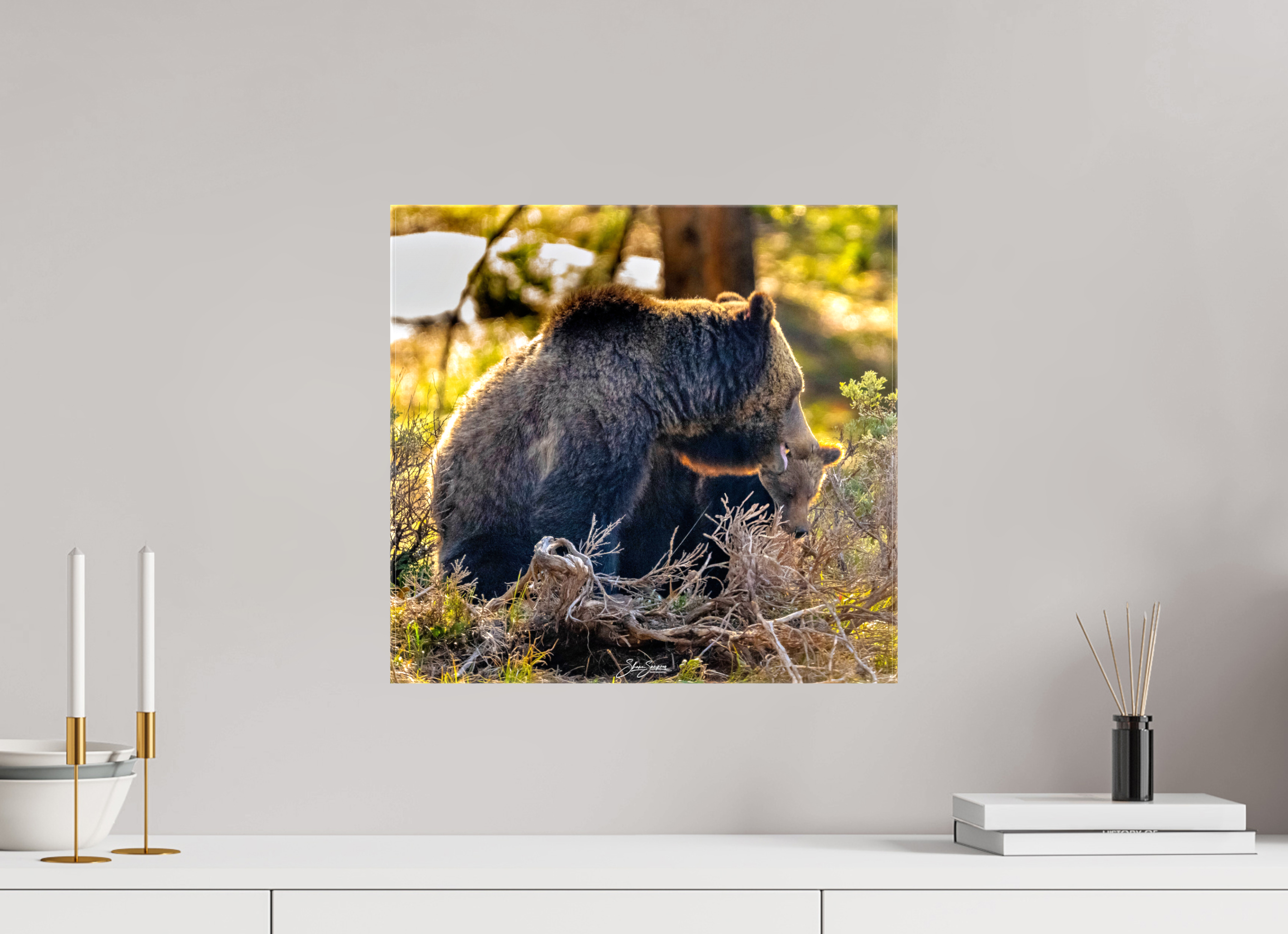 17 x 16″, Canvas 1063 and cub