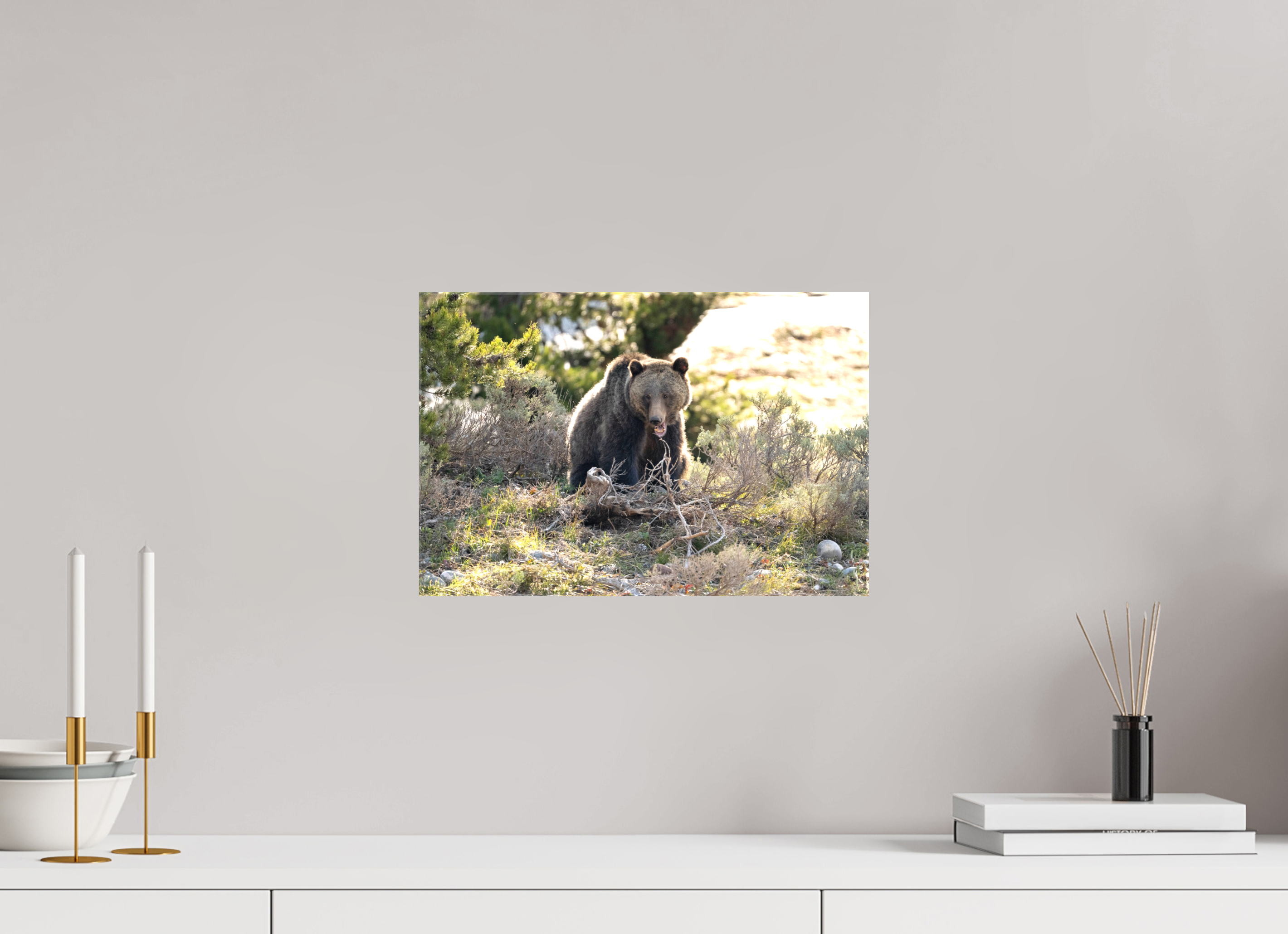 15 x 10″, Canvas 1063