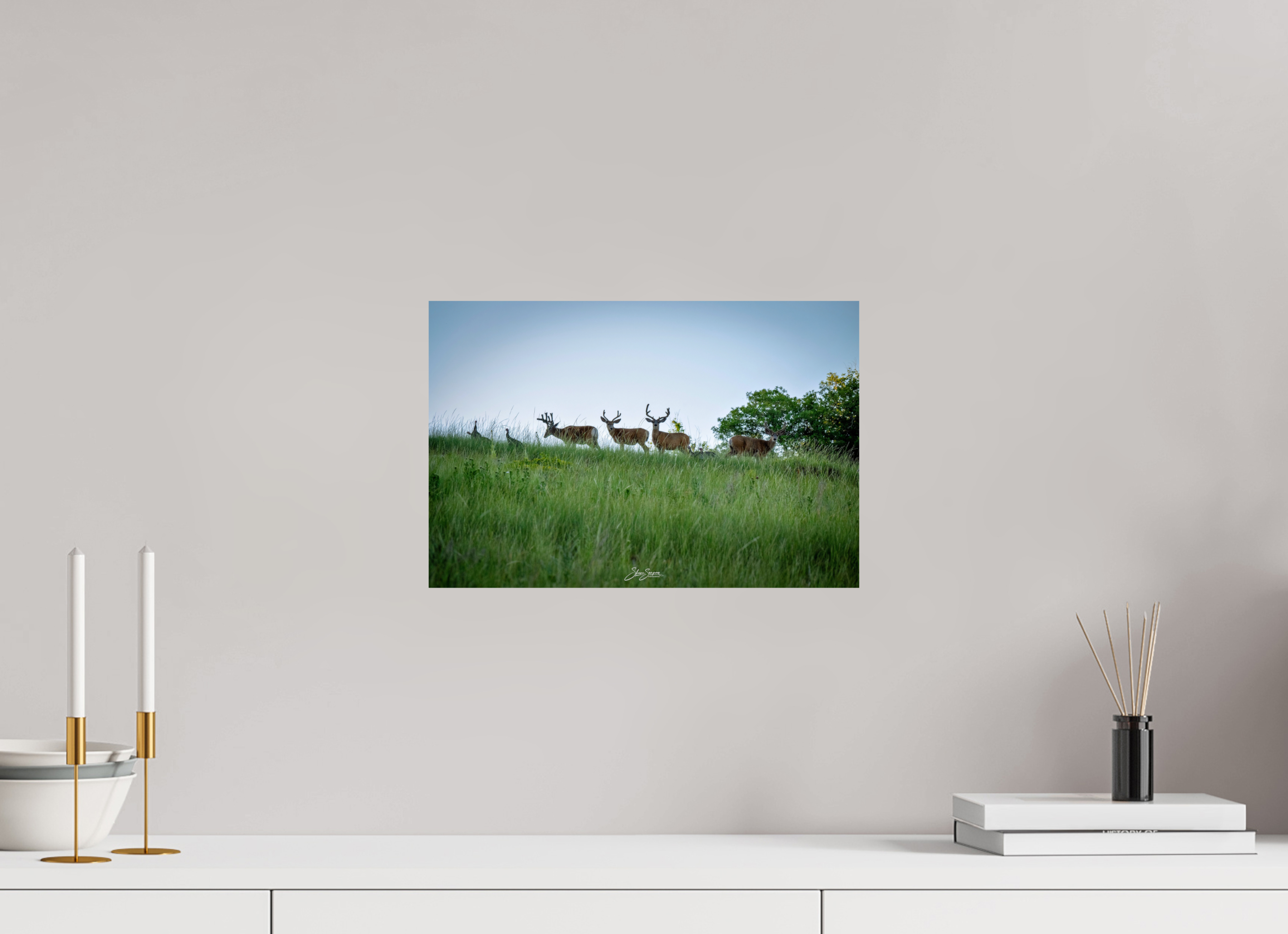 15 x 10″, Photo Print On Fuji Crystal DP II Deer