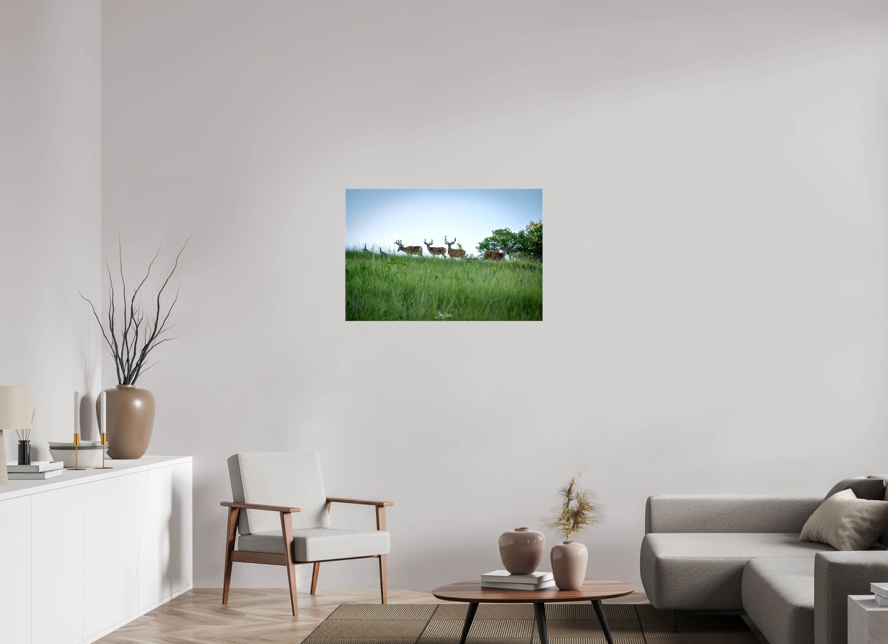 36 x 24″, Canvas Deer