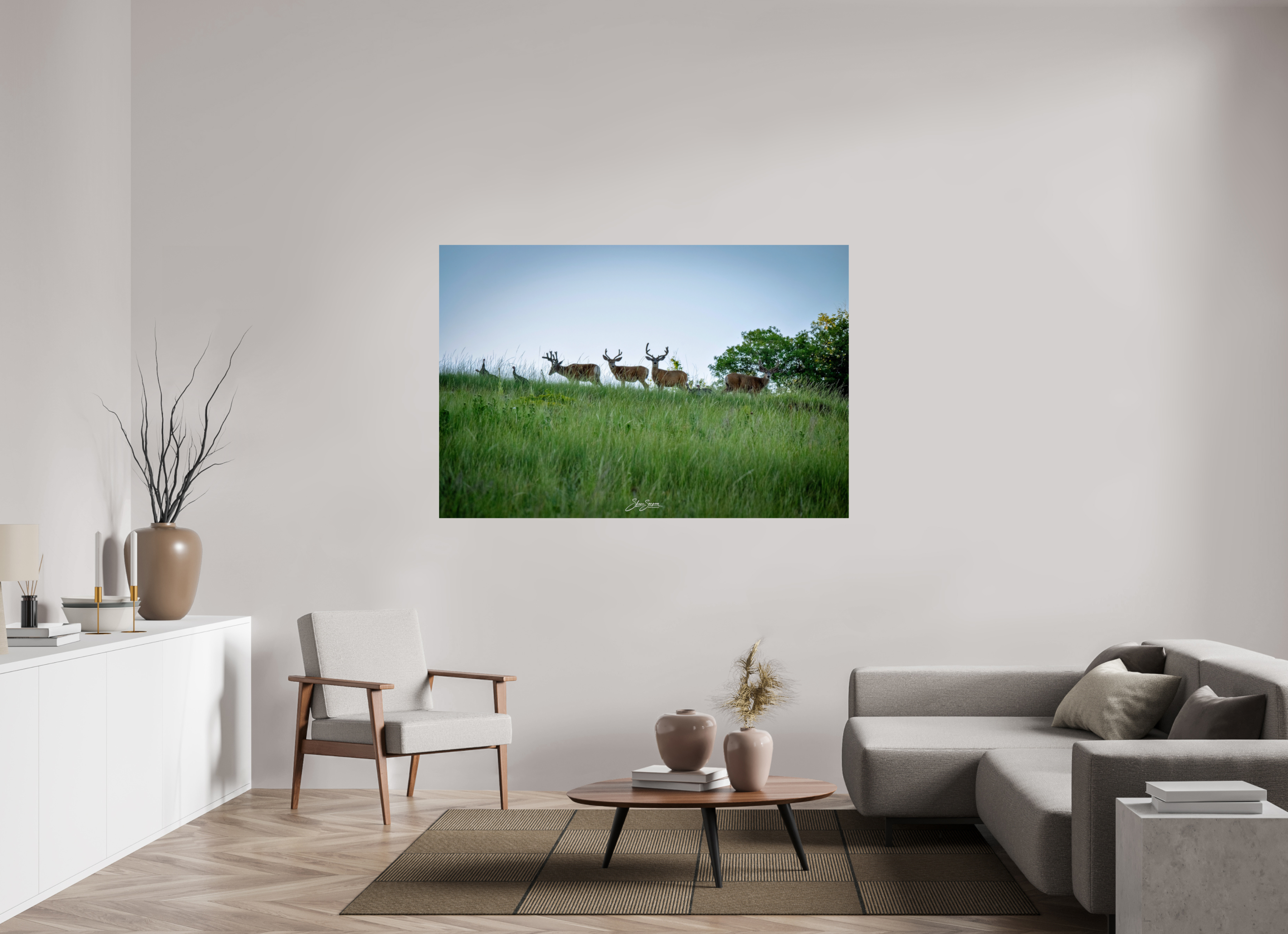 66 x 44″, Photo Print On Fuji Crystal DP II Deer